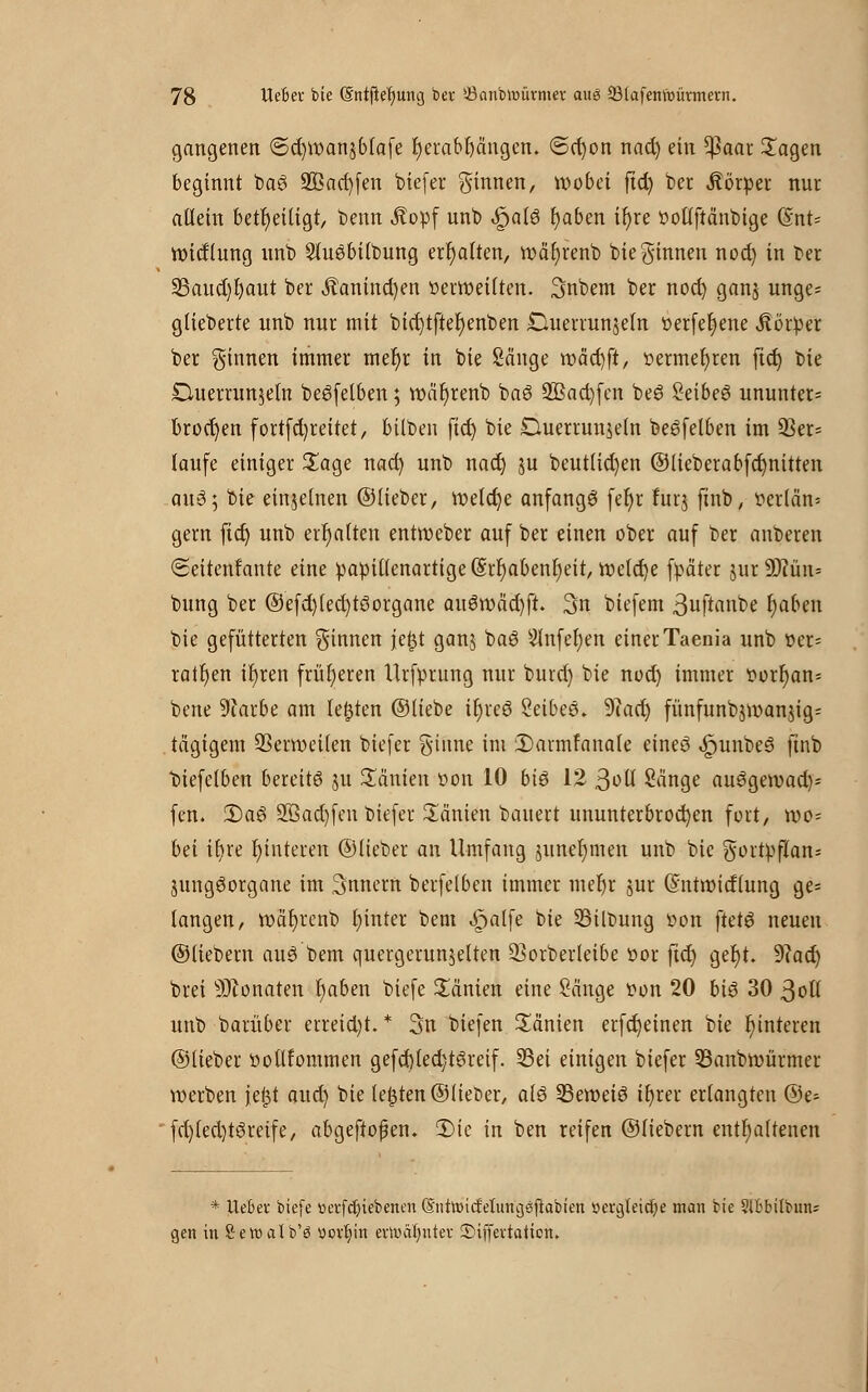 gangenen ©d)voan$b(afe fjerabljängen. <5d)on nad) ein ^aar £agen beginnt baS 2Öad)fen biefer ginnen, wobei ftd) ber Körper nur allein beteiligt, benn Äopf unb £atg fyaben il)re »ollftänbige (§nt= tuidlung unb Stuebitbung ermatten, roäfyrenb bieginnen nod) in ber 23aud)t)aut ber Äanind)en oerroeilten. 3nbem ber nod) gan$ unge; gtieberte unb nur mit bid)tfter)enben Ouerrunjeln oerfefyene Körper ber ginnen immer mer)r in bie Sänge tt)äd)ft, oermefyren fictj bie Cluerrunjetn beSfelben; tt)är)renb baß 2Bad)fen be6 Seibe6 ununter^ brocken fortfd)reitet, bilben ftd) bie Duerrun$eln beöfelben im SSer= laufe einiger Sage nad) unb nad) ju beut(id)en @lieberabfci)nitten au3; bie einzelnen ©Heber, welche anfangt fer)r furj finb, t>erlän= gern ftd) unb erhalten entroeber auf ber einen ober auf ber anberen (Seitenfante eine papiltenartige(5;rf)abenr)eit, roefcfye fpäter $urs3)?ün= bung ber ©efd)led)töorgane auöroäd)ft. 3n biefem 3uftanbe fabelt bie gefütterten ginnen fe£t ganj baö 2lnfel)en einer Taenia unb »er- raten ifyren früheren Urfprung nur buid) bie nod) immer oorr)an= bene 9farbe am legten ©liebe tr)re6 Seibeö. Nad) fünfunbjwanjig= tägigem Senoeiten biefer ginne im Dannfanale eineö ^punbeS ftnb biefelben bereits ju Manien oon 10 biö 12 3oü Sänge auSgeroad)= fen. 2)aö 2ßad)fen biefer Sänien bauert ununterbrochen fort, tvo= bei tr)re r)tnteren ©lieber an Umfang junerjmen unb bie gortpfkns ntngöorgane im Innern berfelben immer mef)r jur (Sntroidlung ge= langen, voäfyrenb f) intet beut «£>alfe bie SBilbung »on fUt$ neuen ©liebern aue» beut quergerun$etten üßorberleibe oor ftd) ger)t. $lad) brei s)Jionaten r)aben biefe Manien eine Sänge von 20 biß 30 3otl unb barüber eneid)t.* 3n tiefen Manien erfctjeinen bie Hinteren ©lieber oollfommen gefd)led}t3reif. 23ei einigen biefer 23anbn)ürmet werben fejjt aud) bie legten ©lieber, alö 23eroei6 ifyrer erlangten ©e- fd)fed)töreife, abgeflogen* Ü)ie in ben reifen ©liebem enthaltenen * Uebev biefe m-fd)iebenen@nttoi<Muna,ej}abien »crajeicfye man bie SlBbttbum gen in Setoalb'ö sorf)in evn)äl)ntev ©iffevtaticn.
