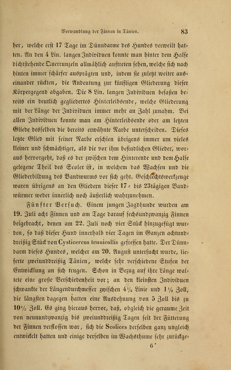 fyer, welche erft 17 Sage im iDünnbarme beS ,£junbeö tteiweilt r)at* ten. 2ln ben 4 Sin. langen 3nbiüibuen fonnte man rjinter Dem ^>al(e bid)tftef;enbe£luerrunäeln allmäl)lid) auftreten fefyen, weiche fid) nad) fyinten immer fajärfer ausprägten unb, inbem fi'e julefct Weiter auö* einander rütften, bie Slnbeutung §ur fünftigen ©lieberung biefer Äörpergegenb abgaben. 2)ie 8 Sin. fangen 3nbwibuen befaj^en be= reits ein beutlid) geglieberteö ^intcrtetböenbe, weld)e ©lieberung mit ber Sänge ber ^nbbibuen immer mef)r an Safyi junafym. 33et allen Snbiöibuen fonnte man am JpinterleibSenbe ober am legten ©liebe beSfelben bie bereite ermähnte sJ?arbe unterfd)eiben. IDtefcS Ie£te ©lieb mit feiner üftarbe erfd)ien übrigens immer um »ieleS Heiner unb fd)mäd)tiger/ alö bie »er iljin befinblid)en ©lieber, wor= auS l)en)orger;t, baß eS ber $wifd)en bem <*pinterenbe unb bem^alfe gelegene £l)eil beS «Scolejr tft, in weld)em baS 2Bad)fen unb bie ©iieberbilbung beö 23anbwurmS cor fid) ger)t. ©efcrjlTcfytSroerfzeuge waren übrigens an ben ©liebern biefer 17 - bis 23tägigen 23anb= Würmer Weber innerlid) nod) äu§erlid) wahrzunehmen. fünfter SSerfud). (Einem jungen 3agül)unbe würben am 19. 3uli ad)t ginnen unb am Sage barauf fed)Sunbzwan$ig ginnen beigebracht, benen am 22. 3uli nod) öier ©tücf hinzugefügt wür- ben, fo baß biefer ^unb innerhalb »ier Sagen im ©anjen ad)tunb= breifiig <5tüd twn Cysticercus tenuicollis gefreffen r)atte. 2)erT)ünn= barm biefeS 4punbeS, welcher am 20. Sluguft unterfud)t würbe, Iie= ferte jweiunbbreifjig Manien, welche fer)r »erfctjiebene (Stufen ber (Sntwidlung an fid) trugen. (£dwn in S3ejug auf iljre Sänge voaU tete eine große 93erfd)iebenf)eit twr; an ben fleinften Snbiöibuen fcfywanfte ber Sängenburct/meffer jwifd)en 4>/2 Sinie nnb lJ/2 ßoü, bie längften bagegen Ratten eine 2luSbel)nung »on 5 ßoll bis ju 10'/2 3oÜ. (§S ging l)ierauS fyenwr, baß, obgleich bie geraumeßeit »on neununbiWan^ig bis jweiunbbreißig Sagen feit ber Fütterung ber ginnen üerfloffen war, fid) bie Scolices berfelben ganj ungleid) eutwidelt Rotten unb einige berfelben im 2Bad)Str)itme fc£>r surürfge=