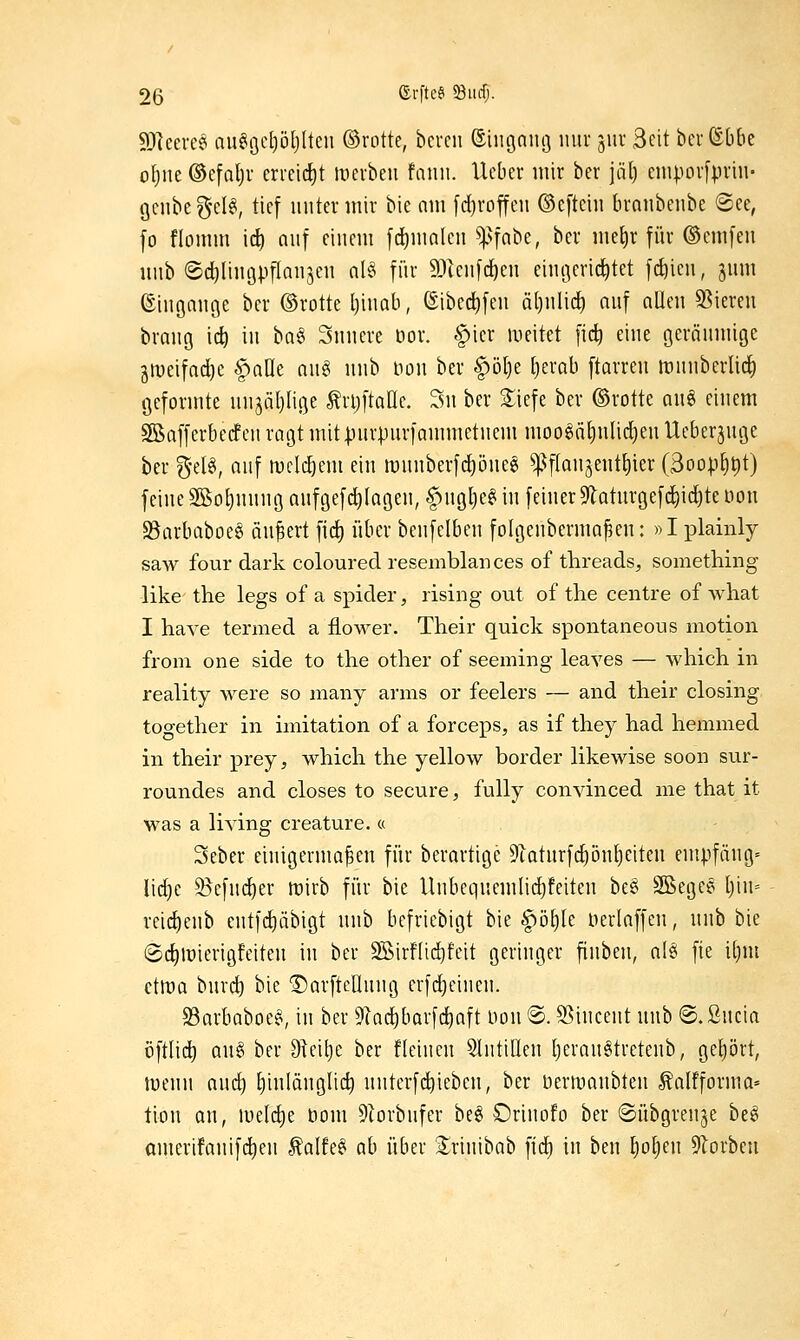 9)lccrc9 nu^öc[)öf)lten ©rotte, bereu ©iiiönnt] nur jur Seit berßbbe ofjiie ©efaljv erreicht lucrbeii fanii. lieber mir ber jäl) empor[prin- genbeg-el^, tief untermir bie am [d)roffen ©cftcin branbenbe (See, fo flomm ic^ niif einem [d)malen ^sfabe, ber me^r für ©emfeii iinb ®d)lin9pflQii3eii nl§ für 93(enfc^en ein gerichtet festen, 511m ©ingaiu^c ber ©rotte Ijiimb, (Sibec^feii ä()nlic^ niif allen Spieren brang ic^ in bag Snnere öor. §icr lueitet fic^ eine oeränmige jmeifac^e ^aUt au§ nnb non ber |)ö[)e [)erab ftarren ftinnberlid) geformte nnjäljliöe trl)ftaae. Sn ber 3:iefe ber ©rotte anö einem SBafferbecfcn ragt mit|.nirpur)animetncm moo6ä^nlic^en Ueberjuge ber %d^, auf n)cld)em ein n)unberfd)öne6 ^ftanjentliier (3oo|.i^t)t) feine 9Sof)nnngaufgefc^Iagen,^ngl)e^ in feiner9laturgef^id)teiion SBarbaboe§ äußert fid^ über bcnfelben folgenberma^en: »I plainly saw four dark coloured reseiiiblances of threads, something like the legs of a spider, rising out of the centre of what I have termed a flower. Their quick spontaneous motion froin one side to the other of seeming leaves — which in reality were so many arms or feelers — and their closing together in Imitation of a forceps, as if they had hemmed in their prey, which the yellow border likewise soon sur- roundes and closes to secure, fully convinced nie that it was a living creature. « Seber einigermaßen für berartige 9tatnrfd^önl)eiten empfang« lid)e ^efnd)er föirb für bie llnbeqnemlid)feiten be§ SBege^ [)in= reid^enb entfd)äbigt nnb befriebigt bie §öf)Ie t)erlaffen, nnb bie ©d^mierigfeiten in ber SBirflic^feit geringer finben, a[§ fie i[)m ctlüa bnrc^ bie 'Darftcünng erfd^cinen. S3arbaboe§, in ber 9lac^bor[c^aft Uon @. S5incent unb ©.ßncia öftlic^ an§ ber 9ieil)e ber fleincn SlntiOcn l)eran§tretenb, gef)ört, menn and) ^inlänglict) nnterfi^ieben, ber Dertvanbten ^alfforma- tion an, lyeldie bom 9Iorbufcr be§ Drinofo ber ©übgrenje beö amerifanifc^en tolfc^ ah über S^rinibab ftcf) in ben loljen 9lorbcn