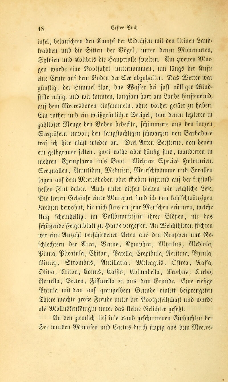 infel, [ic(nu[c{)tcu bcii ^antpf bev ®ibcd)[cn mit bcn flcincii ßaub« fmbbeu iinb bic ©itteii bev Stößel, unter bciien 9)]öüciiavtcn, ©tjlöieii unb -Äolibri^ bie l^nuptrollc fpieltcn. 5lm äit)citcu 9}]or» gen triirbe eine S3ootfQt)rt miteruomnicn, um (ängS ber füfte eine ®rnte auf bcm 5Bobeu ber ®ee Qb^ii^nlteii. ®a§ Sßettcr wai ÖÜnftitj, ber §immel f(ar, ha^ 3Bnf[er bei faft t3önii3er 9Siub= ftide ru(}ii], itub irir foiinten, laiigfnm I)nrt am ßniibe tjinfteuernb, auf bem 9}leerc6boben cinfammedi, of)ne borget gefäet ju ()aben. ©in rotl)er unb ein lüei^ßriinlidjer «Seeigel, tion beneii le^terer in jaljUofer 93ienge bcn S5obcn bebecfte, [d)immerte au§ bcn fnrjen ®eegrä[ern empor; bcn langftadjligen [djfüarjen üon 5Barbaboe^ traf id) ^icr nid)t mieber an. ®rei 5lrten ©eefterne, lion benen ein gelbgrauer feiten, jli^ei rot[)e aber (jänfig finb, rtjanberteu in mel)reu ©jempfaren in'§ 93oot. 931c[}rere ®pecie§ f)o(oturieu, Scequallen, Slnueliben, 9}iebufen, 9Jleer[d)it)ämme unb ßoraüen tagen auf bcm 501eereeboben ober trieben irifirenb auf ber fri)ftaü= l)cneu f^lnt bal)er. 5lucb unter biefen t)ielten mir reid)Iid)e Sefc. ®ie leereu ©e[)äu|e einer ^Jinrcj-art fanb id) Hon fat)l[d)it)änjigcn Ärebfen bemoljut, bic mid) ftet§ an jene 3Jteufd)cn erinnern, meldte fing fdiein^eilig, im S5oUbemu[3t[cin i[)rer 23löj3en, nie ha^ fd)ü^eube^'eigcnblatt ju §au[c licrgeffen. 5Iu SBeidjttjicren fifd^tcn mir eine ^lujaljl ncrfdjicbener SIrten aus bcn ©rnppen unb ©e» fc^lec^teru ber 5lrca, 55cnu§, 9Zt)mpl)ca, 5Jci)tilu§, 9)lebiola, ^inna, ^Ucatula, ßljiton, ^atella, ßrepibnla, 9lcritiua, ^ijrula, 9Jhircr, ©trombui^ QInciüaria, 9)ielcagri§, £)ftrca, 5laffa, Oliiia, Sriton, 6onu§, ßafiB, ßolumbclla, Srodjuf^, Surbo, 9lauella, ^^ecten, gnffuretla 2e. au§ bcm ©runbe. ©ine riefige ^t)rula mit bcm auf graugclbem ©lunbc iiiolett bcfprengeten S:i)iere umi^te grope g-reube unter ber S^ootgcfcüfcijaft unb mürbe al§ 9[)toIlu6fenfönigiu unter bag ficine ©clidjtcr gefegt. 5lu ben jicmlicl) tief in'^ ßaub gefd}nittencn (5inbnd)ten ber See mürben SDiimofcn unb Gactu^ burd) üppig an^ bem 5[Reercf^=