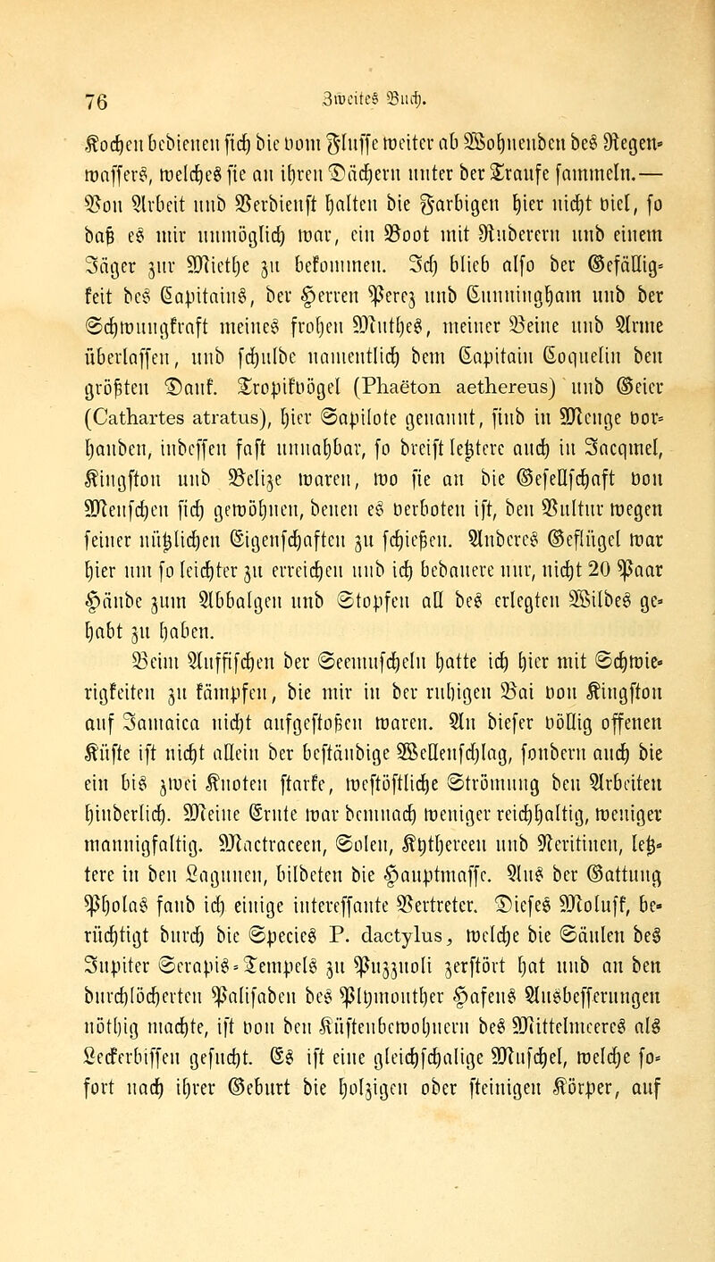 f oc^enbcbienen fid) bie uom S'Iiiff^ tt^citcr ab ®of)iieuben be^ Otegen» maffev^, treld^egfie an if)rcu1)äci^eru unter ber^^ranfc [ammeln.— 5?on Slvbeit nnb S5erbien[t galten bie g-arlngen f)ier ntd)t öicl, fo ha^ e§ mir nnmöglic^ mar, ein 35oot mit Dtnberern nnb einem Säger jnr SRiet[)e jn befonimen. Scf) blieb alfo ber ©efäHig» feit bes Sapitain^, ber §erren ^erej nnb ßnnning^am nnb ber ©(^mnngfraft meinet froljen ?DInt[)e§, meiner §öeine nnb Slrme überladen, nnb [d)n(bc nanientlid) bem ßapitain ßoqneün htn größten ^anf. 2^ro|jifüögeI (Phaeton aethereus) nnb @eicr (Cathartes atratvis), Ijicr ©apilote genannt, [tnb in SRcnge bor= [janbcn, inbcffen fa[t nnnaf)bav, fo breift le^tcre and^ in Sacqmel, ^ingfton nnb ^elije iraren, wo fie an bie ©efeüfcEiaft öon 9Jlen[d)en fid) gemö^nen, benen eö tierboten ift, ben 95nltnr megen feiner nü^Ud)en ©igenfd)aften gn fc£)iefcn. 5lnbcrc§ ©efUigel mar t)ier nm fo Ietd)ter jn erreichen nnb id) bebanere nnr, nid^t 20 ^aar ^iinbe jnnt 5lbbalgen nnb ©topfen aU be§ erlegten ^ilbeö ge» ^abt jn [)aben. 23eim Slnffifd^en ber @eeninfd)e(n tiatte id^ t)ier mit ©d^roie- rigfeiten jn fämpfen, bie mir in ber rnbigen ^Bai öon Äingfton anf Samaica nid)t anfgeftopen waren. 5ln biefer Döllig offenen Äüfte ift nic^t allein ber beftänbigc SöeHenfdjlag, fonbern and^ bie ein bi§ jmci knoten ftarfe, racftöftlid^e ©trömnng ben 5lrbciteii ^inbcrlic^. 9)ceine (Srnte mar bcmnad) meniger reic£)l)altig, menigei* mannigfaltig. SJlactraceen, (Solen, ^^tljercen nnb ^leritinen, le^» tere in ben Sagnnen, bilbeten bie ^anptnmffc. 5ln^ ber ©attnng ^ljola§ fanb id) einige intereffante 55ertreter. ©iefes 9Jtolnff, be» rndjtigt bnrc^ bie «Specicg P. dactylus, mcld[)e bie ©änlen be§ Snpiter ©crapi§ = Sempelg jn ^njjnoli jerftört t)at nnb an ben bnrd)lödf)erten ^alifabcn be§ ^Itjmont^er §afen§ Slnäbeffernngeu nötl)ig niad)te, ift non ben Jlnftenbcmoljnern be§ SJiittelmcereö al§ Sedferbiffen gefnc^t. ©^ ift eine gleid^fdialige 9Jlufd)el, meiere fo- fort wad) i^rer ©ebnrt bie Ijoljigcn ober fteinigen Körper, anf