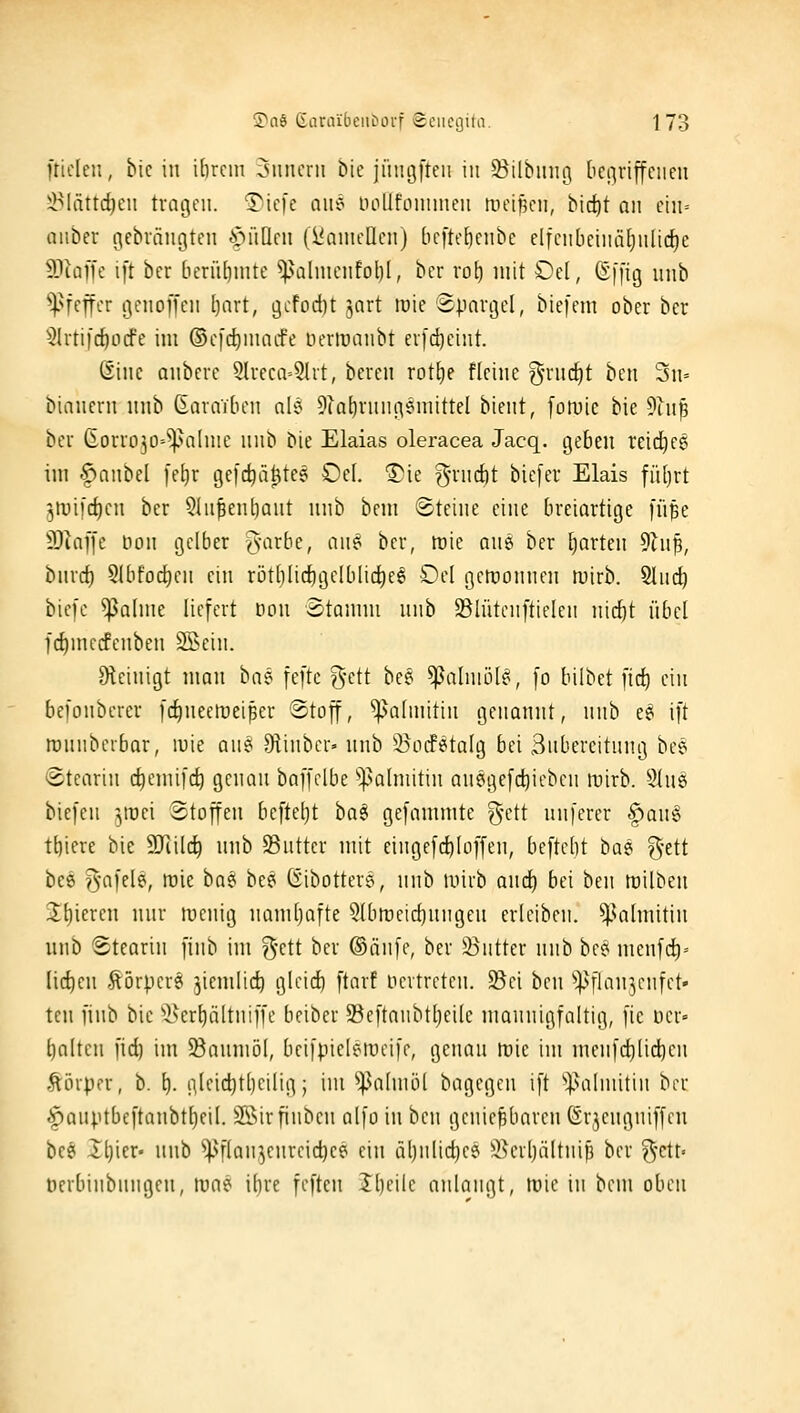 fticien, bic in ibrciii Jiiiieni bie jiiiigfteii in 93ilbunoi (icfuriffciien ^lättc^en tragen. ®ie)'e aii'^ noüfonuneii tnfif,cn, bic^t an ctii= aiiber gebrängten t^^iiQcii (l'aincncn) bcftoEiciibc elfciibciiuiljiilici^e 5JiQ[[c i[t ber [ierii[)intc ^Hilmciifol)!, bcr rol) mit £)el, (Effig iinb ^^fcffcr geiioffeii [)art, gcfod)t ^art lüie 'Spargel, biefem ober ber 5Irtifc{)ocfe im ©efc^iiuicfe lun-tuanbt evfdjeiiit. ßiiic aiibcre 5lreca--9ht, bereu rott)e flciiie ^Tiid^t ben 3n= biaiicru luib (Earailieii ale 5iat)riingsimittel bieiit, fotuie bie 9ai^ ber ßorrojO'^alme iiiib bie Elaias oleracea Jacq. geben reidjeg im |)anbel fe^r gefc^ä^te? Oel. 5)ie g-rnc^t biefer Elais fii[)rt jiuifc^cn ber 9(u^en[iant nnb bem Steine eine breiartige fuße 9)kffe Don gelber ^-arbe, an^ bcr, irie ane ber tjarten 9hip, bnrcf) 91bfod)cn ein ri3tblid)gclb[icf)eg £)el gewonnen mirb. Sind) bicfc ^alme liefert fon Stomni nnb SSlütenftielen nid)t übel fc^mcifcnben SScin. Otcinigt mon bae feftc g-ett bee ^alniöl^, [o bilbet fid^ ein befonberer [c^neetreiper Stoff, ^ahnitin genannt, nnb e? ift tunnberbar, luie onei 9iinbcr» unb S^odPetalg bei 3nbereitnng besi Stearin c^enüfc^ genan baffclbe ^|^ahnitin an?gefd)ieben inirb. Sinei biefen ^^roei Stoffen befielet ba^ gefammte g-ctt nnfercr |)anö t^iere bie STiilc^ nnb 5Bnttcr mit eingefc^Ioffen, beftebt hM ^dt bee ^'afele, tüie ha^ bc9 Gibottere, nnb mirb and^ bei ben tt)ilben 2t)if^^ iiiir rocnig namhafte 91btrieid)nngen erleibcn. ^^almitin unb Stearin finb im ?^-ctt ber ®änfe, bei 33nttcr nnb ht^ menfd)'- (ic^en ftörpcrei ^iemlic^ glcid) ftarf iicvtrcten. 25ci ben ^^fianjenfct» ten finb bie ^iserl)ältniffe beibeu 55eftanbtljcile nmnnigfaltig, fie iicr» polten fid) im 5Bnnmö[, bcifpicierocifr, genan tt)ie im menf(^[id)en Äörpcr, b. i). glcid)t[)cilig; im '>)3a(niö[ bagegcn ift 'il.Hilinitin bcr §auptbcftanbt()eil. SSirfinben alfo in ben genießbaren CErjcngniffcn bee Il)ier' nnb ^^flan^enreic^ce ein äljiilic^ee 5Beil)ältnip ber ^cü-- Uerbinbniigen, luae ihre feften Ibeile anlangt, lüie in bcm oben