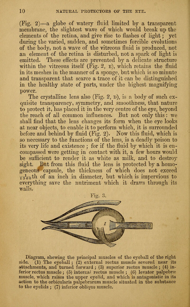 (Fig. 2)—a globe of watery fluid limited by a transparent membrane, the slightest wave of which would break up the elements of the retina, and give rise to flashes of light; yet during the varied, sudden, and sometimes forcible evolutions of the body, not a wave of the vitreous fluid is produced, not an element of the retina is disturbed, not a spark of light is emitted. These effects are prevented by a delicate structure within the vitreous itself (Fig. 2, e), which retains the fluid in its meshes in the manner of a sponge, but which is so minute and transparent that scarce a trace of it can be distinguished in the healthy state of parts, under the highest magnifying power. The crystalline lens also (Fig. 2, d), is a body of such ex- quisite transparency, symmetry, and smoothness, that nature to protect it, has placed it in the very centre of the eye, beyond the reach of all common influences. But not only this : we shall find that the lens changes its form when the eye looks at near objects, to enable it to perform which, it is .surrounded before and behind by fluid (Fig. 2)* Now this fluid, which is so necessary to the functions of the lens, is a deadly poison to its very life and existence ; for if the fluid by which it is en- compassed were getting in contact with it, a few hours would be sufficient to render it as white as milk, and to destroy sight. But from this fluid the lens is protected by a homo- geneous^ capsule, the thickness of which does not exceed x^ooth of an inch in diameter, but which is impervious to everything save the nutriment which it draws through its walls. . Fie. 3. Diagram, shewing the principal muscles of the eyeball of the right side. (1) The eyeball; (2) external rectus muscle severed near its attachments, and turned forward ; (3) superior rectus muscle ; (4) in- ferior rectus muscle; (5) internal rectus muscle; (6) levator palpebrce muscle, which raises the upper eyelid, and which is antagonistic in its action to the orbicularis palpebrarum muscle situated in the substance to the eyelids ; (7) inferior oblique muscle.
