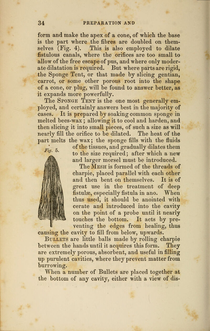 form and make the apex of a cone, of whicli the base is the part where the fibres are doubled on them- selves (Fig. 4). This is also employed to dilate fistulous canals, where the orifices are too small to allow of the free escape of pus, and where only moder- ate dilatation is required. But where parts are rigid, the Sponge Tent, or that made by slicing gentian, carrot, or some other porous root into the shape of a cone, or plug, will be found to answer better, as it expands more powerfully. The Sponge Tent is the one most generally em- ployed, and certainly answers best in the majority of cases. It is prepared by soaking common sponge in melted bees-wax; allowing it to cool and harden, and then slicing it into small pieces, of such a size as will nearly fill the orifice to be dilated. The heat of the part melts the wax; the sponge fills with the fluids ? of the tissues, and gradually dilates them ^^' ' to the size required; after which a new and larger morsel must be introduced. The Mesh is formed of the threads of charpie, placed parallel with each other and then bent on themselves. It is of great use in the treatment of deep fistulas, especially fistula in ano. When thus used, it should be anointed with cerate and introduced into the cavity on the point of a probe until it nearly touches the bottom. It acts by pre- venting the edges from healing, thus causing the cavity to fill from below, upwards. Bullets are little balls made by rolling charpie between the hands until it acquires this form. They are extremely porous, absorbent, and useful in filling up purulent cavities, where they prevent matter from burrowing. When a number of Bullets are placed together at the bottom of any cavity, either with a view of dis-