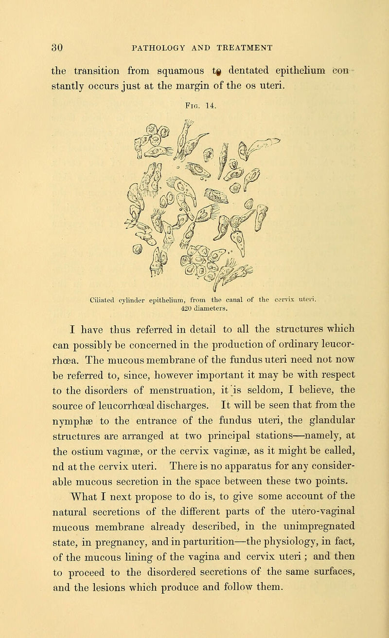 the transition from squamous t§ dentated epithelium con stantly occurs just at the margin of the os uteri. Fig. 14. Ciliated cylinder epithelium, from the canal of the cervix uteri. 420 diameters. I have thus referred in detail to all the structures which can possibly be concerned in the production of ordinary leucor- rhoea. The mucous membrane of the fundus uteri need not now be referred to, since, however important it may be with respect to the disorders of menstruation, it is seldom, I believe, the source of leucorrhoeal discharges. It will be seen that from the nymphse to the entrance of the fundus uteri, the glandular structures are arranged at two principal stations—namely, at the ostium vaginae, or the cervix vaginae, as it might be called, nd at the cervix uteri. There is no apparatus for any consider- able mucous secretion in the space between these two points. What I next propose to do is, to give some account of the natural secretions of the different parts of the utero-vaginal mucous membrane already described, in the unimpregnated state, in pregnancy, and in parturition—the physiology, in fact, of the mucous lining of the vagina and cervix uteri ; and then to proceed to the disordered secretions of the same surfaces, and the lesions which produce and follow them.