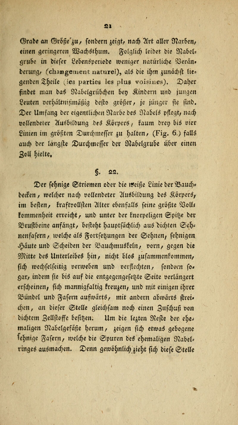 @rabe an (55r(^§e'^U/ fonbem ^ei.^t, nac5 Krt affer Ü?av6en/ timn öcvingeren 5Ö3ac^öt^um. gol.glic^ [eibet bte 3ta6c(s öruk in biefer Cekn^pedobc weniger natüvlcd)e ^^erän« berun^^ fchangeruent naturel), a\6 t^k H)m juncicbft lies ^enben ^^ette ^lea partieg les plus voisiiies). iDaper ftnbet man \>ai dlaMQxühii}m 0etj Ätnbern unb jungen beuten öerf)altMtf?mä^i.5 bep:o .^roj^err je jünger fte Ünb, ^av Umfang ber eigentfic^en 9^ar6e beö dJaUi^ P^^tf nac§ tJoKenbetcr 2fußBiIbunc| beiJ ^örperö ^ faum brer) 6t9 öier Linien im gröflten iDurc^meffer ^u l)aUen/ (Fig. 6.) fatt^ üud> ber Icingjle iJDurc^mejfer fcer DMel^^'i^^^ ^^^'^ ^i«^ Sott ^ielt?, Jt)er fel^nige (Striemen ober bic «fei^e Cinie ber ^Baucf)« beden / n)e(d)er nad) »offenbeter UmbiibixnQ be^ ^örper^z tm Bef!en/ fraftt^oöflen 2((ter e^enfaUö feine größte ^oK< fommen^eit erreic()t/ unb unter ber Bnorpeti^en @pt|e ber •5J3ruft6eme anfangt, i6eftc^t i^auptfäcl[)tic^ au^'ti(i)Un (^efes itenfafern / voeld^e aU Jortfe^ungen ber @ef)nen, febnigen ^äüUun\) ^c^eiben ber '^aud)muö^e(n/ Dorn/ gegen bie !)!}?itte beö Unterteilet l^in, nid[)t Hol ^ufammenfommen/ fid^ wed?felfeitig »enueBen unb oerfIed)ten/ fonbcn*n fo* gar/ inbem fie hi^ auf bie entgegengefe^te (BtiU verlängert crfc()einen/ fic^ mannigfaltig freuten/ unt> mit einigen ii^rec ^ünbel unb gafern aufivärt^/ mit anbern al^wärt^ j!rei» c^en, an biefer (Stelle gleid[)fam nod^ einen 3«ff&ti§ t)on bic^tem Sctljl-offe 6efi^en; Um tk legten Diejic ber ehe- maligen 9^al6clgefä)3e ^erum/ geigen fic^ etwai gebogene fe|)mge gaferu/ meiere bie (Spuren be0 ehemaligen ^aUh ringet au^mac^en. X>mn gett)j>^nlic^jie^t (ic^ biefe Stette