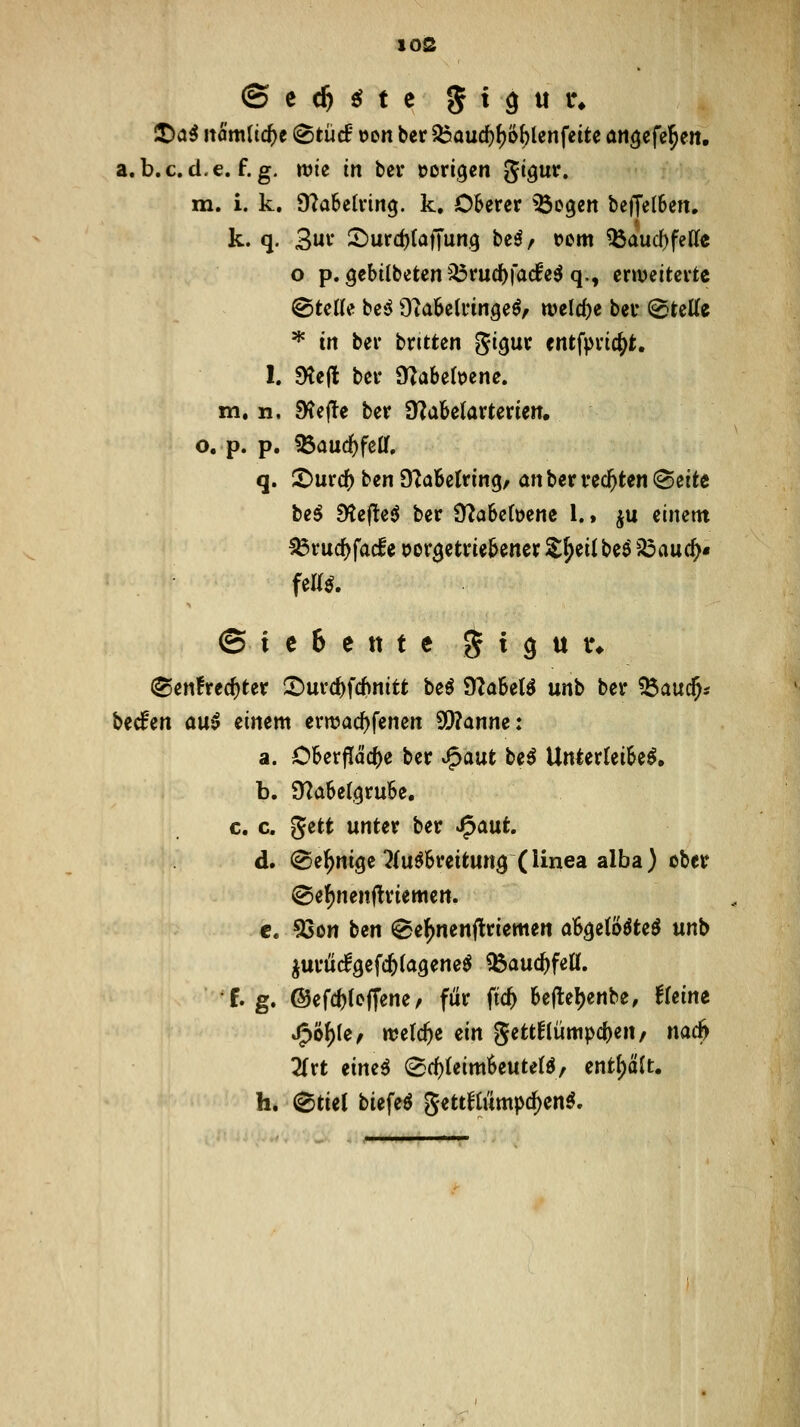 a.b.c. cl.e. f. g. n?te in bei* eori^en gigur. m. i. k, 9?a6elving. k. Oberer ^ogen beffetBen, k. q. Buv ^urd)(affun,9 be^/ »em SJ^audjfdk o p. gebÜbeten '^ruc^fade^ q., erweiterte @teUe be'i O'JaSelringeö/ tvelc()e bei' (gtette ''^ in ber bntten gigur entfprte^t. !. Dtefl ber DZabe(t)ene. m. n, S^ej^e ber SJ^abelarterieit. o. p. p. %ciüd)fzU, q. X>üxd) bzn dldbeUin^, an ber rechten ^dU te$ Stelltet ber 9^abe(t>ene l., ju einem Ißruc^fade oorgetriebener S^eiibeö 5J5auc^« fea^. © i e 6 e tt t e 5 ^ 9 « ^* (Sen!rec^ter :^urd)fcf)nitt beö 9?abeB unb ber ^und^s becfen au^ einem erwac^fenen 9!}?anne: a. Oberfläche ber J^aut be^ Unlerleibe^. b. Ü^abel.^rube, c. c. gett unter ber -^aüt d. ®e^nige^(uöbreitun3(linea alba) ober ©e^nenftriemen. c. 53on ben @ef)nenflriemen ab^etööte^ unb ^urücfgefcfelagene^ ^auc^feW. f. g. @efd)(effene/ für ftc^ be|tel)enbe, lleine J^ö^te, welche dn gett!(ümpd)en/ na(i^ Titt iimi 0rf)leimbeute(ö/ mt^äit, h. (Stiel biefeö gett^lümpc^en^.