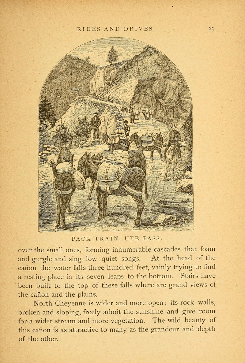 PACK TRAIN, UTE PASS. over the small ones, forming innumerable cascades that foam and gurgle and sing low quiet songs. At the head of the canon the water falls three hundred feet, vainly trying to find a resting place in its seven leaps to the bottom. Stairs have been built to the top of these falls where are grand views of the canon and the plains. North Cheyenne is wider and more open ; its- rock walls, broken and sloping, freely admit the sunshine and give room for a wider stream and more vegetation. The wild beauty of this caiion is as attractive to many as the grandeur and depth of the other.