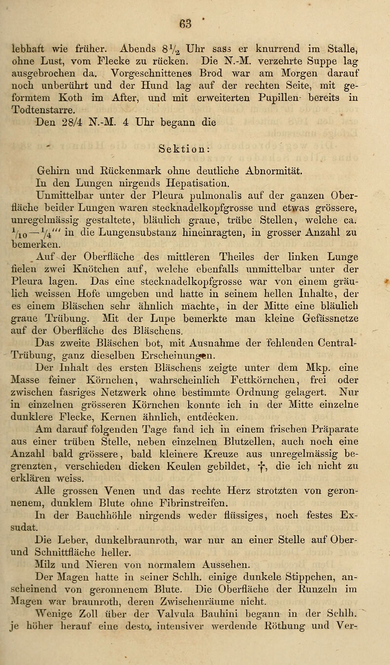 lebhaft wie früher. Abends 8Va Uhr saSs er knurrend im Stalle, ohne Lust, vom Flecke zu rücken. Die N.-M. verzehrte Suppe lag ausgebrochen da. Vorgeschnittenes Brod war am Morgen darauf noch unberührt und der Hund lag auf der rechten Seite, mit ge- formtem Koth im After, und mit erweiterten Pupillen- bereits in Todtenstarre. Den 28/4 N.-M. 4 Uhr begann die Sektion: Gehirn und Kückenmark ohne deutliche Abnormität. In den Lungen nirgends Hepatisation. Unmittelbar unter der Pleura pulmonalis auf der ganzen Ober- fläche beider Lungen waren stecknadelkopfgrosse und etwas grössere, unregelmässig gestaltete, bläulich graue, trübe Stellen, welche ca. xlio~~1/± ln die Lungensubstanz hineinragten, in grosser Anzahl zu bemerken. _Auf der Oberfläche des mittleren Theiles der linken Lunge fielen zwei Knötchen auf, welche ebenfalls unmittelbar unter der Pleura lagen. Das eine stecknadelkopfgrosse war von einem gräu- lich weissen Hofe umgeben und hatte in seinem hellen Inhalte, der es einem Bläschen sehr ähnlich machte, in der Mitte eine bläulich graue Trübung. Mit der Lupe bemerkte man kleine Gefässnetze auf der Oberfläche des Bläschens. Das zweite Bläschen bot, mit Ausnahme der fehlenden Central- Trübung, ganz dieselben Erscheinungen. Der Inhalt des ersten Bläschens zeigte unter dem Mkp. eine Masse feiner Körnchen, wahrscheinlich Fettkörn eben, frei oder zwischen fasriges Netzwerk ohne bestimmte Ordnung gelagert. Nur in einzelnen grösseren Körnchen konnte ich in der Mitte einzelne dunklere Flecke, Kernen ähnlich, entdecken. Am darauf folgenden Tage fand ich in einem frischen Präparate aus einer trüben Stelle, neben einzelnen Blutzellen, auch noch eine Anzahl bald grössere, bald kleinere Kreuze aus unregelmässig be- grenzten, verschieden dicken Keulen gebildet, -f*, die ich nicht zu erklären weiss. Alle grossen Venen und das rechte Herz strotzten von geron- nenem, dunklem Blute ohne Fibrinstreifen. In der Bauchhöhle nirgends weder flüssiges, noch festes Ex- sudat. Die Leber, dunkelbraunroth, war nur an einer Stelle auf Ober- und Schnittfläche heller. Milz und Nieren von normalem Aussehen. Der Magen hatte in seiner Schill, einige dunkele Stippchen, an- scheinend von geronnenem Blute. Die Oberfläche der Runzeln im Magen war braunroth, deren Zwischenräume nicht. Wenige Zoll über der Valvula Bauhini begann in der Sc-hlh. je höher herauf eine desto, intensiver werdende Röthung und Ver-