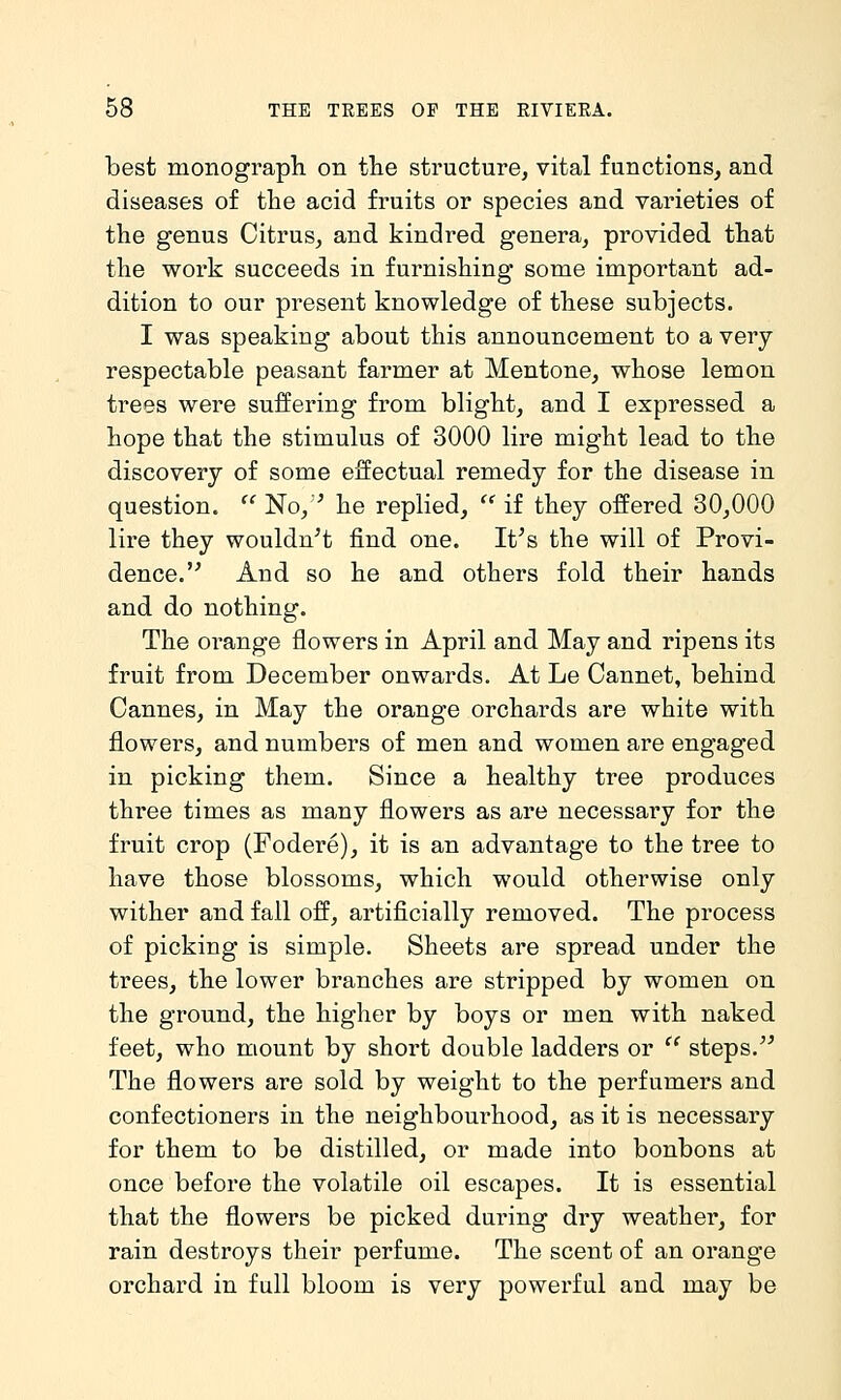 best monograph on tlie structure, vital functions, and diseases of the acid fruits or species and varieties of the genus Citrus, and kindred genera, provided that the work succeeds in furnishing some important ad- dition to our present knowledge of these subjects. I was speaking about this announcement to a very- respectable peasant farmer at Mentone, whose lemon trees were suffering from blight, and I expressed a hope that the stimulus of 3000 lire might lead to the discovery of some effectual remedy for the disease in question.  No,'^ he replied, '' if they offered 30,000 lire they wouldn't find one. It's the will of Provi- dence. And so he and others fold their hands and do nothing. The oi-ange flowers in April and May and ripens its fruit from December onwards. At Le Cannet, behind Cannes, in May the orange orchards are white with flowers, and numbers of men and women are engaged in picking them. Since a healthy tree produces three times as many flowers as are necessary for the fruit crop (Fodere), it is an advantage to the tree to have those blossoms, which would otherwise only wither and fall off, artificially removed. The process of picking is simple. Sheets are spread under the trees, the lower branches are stripped by women on the ground, the higher by boys or men with naked feet, who mount by short double ladders or  steps.'' The flowers are sold by weight to the perfumers and confectioners in the neighbourhood, as it is necessary for them to be distilled, or made into bonbons at once before the volatile oil escapes. It is essential that the flowers be picked during dry weather, for rain destroys their perfume. The scent of an orange orchard in full bloom is very powerful and may be