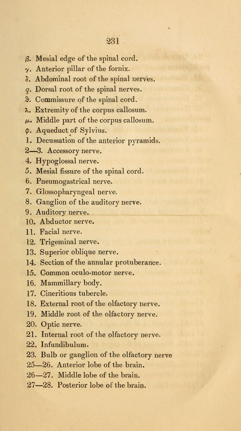 /3. Mesial edge of the spinal cord. y. Anterior pillar of the fornix. ^. Abdominal root of the spinal nerves. q. Dorsal root of the spinal nerves. S. Commissure of the spinal cord. X. Extremity of the corpus callosum. (!A. Middle part of the corpus callosum. 9. Aqueduct of Sylvius. I. Decussation of the anterior pyramids. 2—3. Accessory nerve. 4. Hypoglossal nerve. 5. Mesial fissure of the spinal cord. 6. Pneumogastrical nerve. 7. Glossopharyngeal nerve. 8. Ganglion of the auditory nerve. 9. Auditory nerve. 10. Abductor nerve, II. Facial nerve. 12. Trigeminal nerve. 13. Superior oblique nerve. 14. Section of the annular protuberance. 15. Common oculo-motor nerve. 16. Mammillary body. 17. Cineritious tubercle. 18. External root of the olfactory nerve. 19. Middle root of the olfactory nerve. 20. Optic nerve. 21. Internal root of the olfactory nerve. 22. Infundibulum. 23. Bulb or ganglion of the olfactory nerve 25—26. Anterior lobe of the brain. 26—27. Middle lobe of the brain. 27—28. Posterior lobe of the brain.