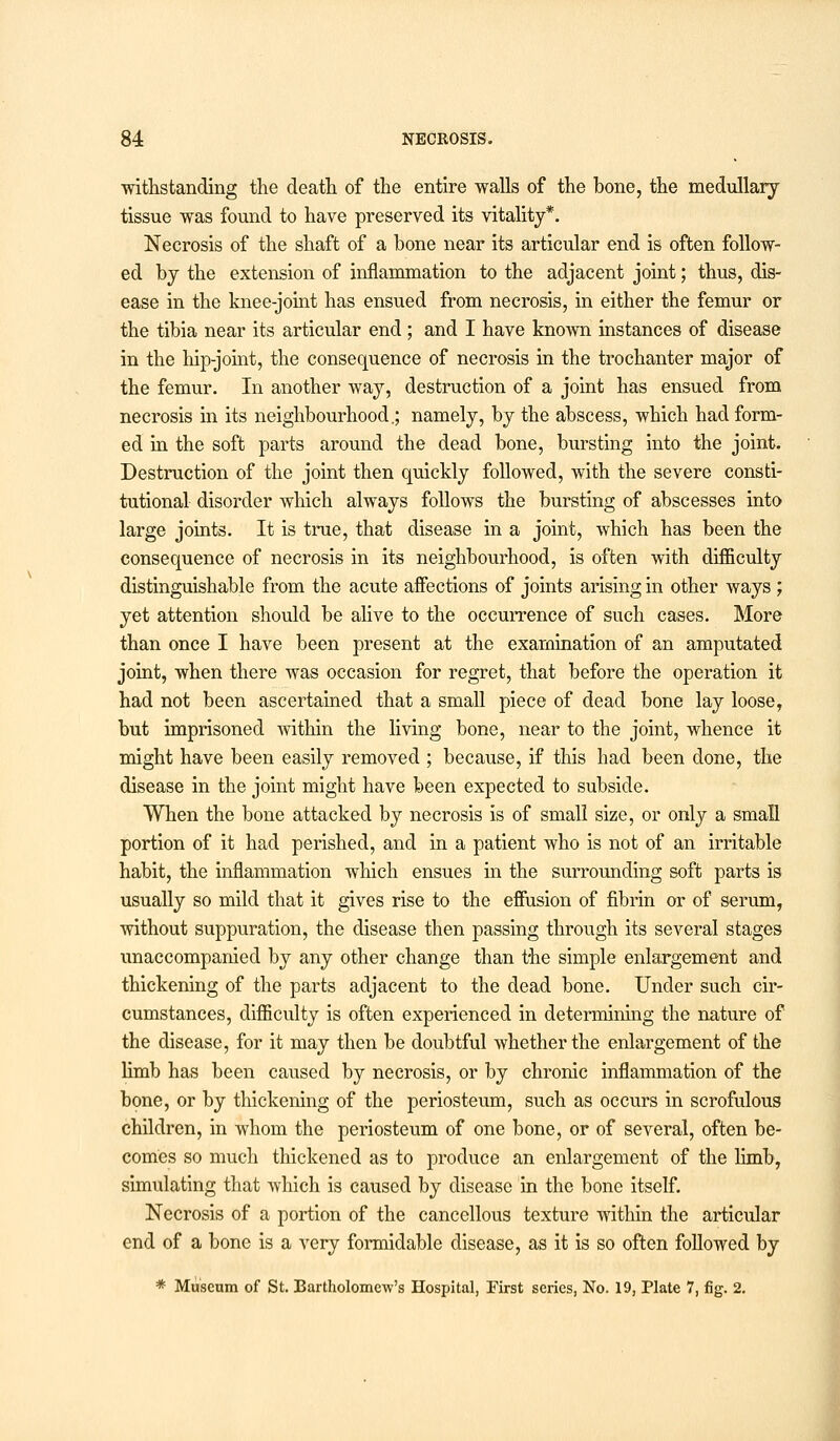 withstanding the death of the entire walls of the bone, the medullary tissue was found to have preserved its vitality*. Necrosis of the shaft of a bone near its articular end is often follow- ed by the extension of inflammation to the adjacent joint; thus, dis- ease in the knee-joint has ensued from necrosis, in either the femur or the tibia near its articular end ; and I have known instances of disease in the hip-joint, the consequence of necrosis in the trochanter major of the femur. In another way, destruction of a joint has ensued from necrosis in its neighbourhood.; namely, by the abscess, which had form- ed in the soft parts around the dead bone, bursting into the joint. Destruction of the joint then quickly followed, with the severe consti- tutional disorder which always follows the bursting of abscesses into large joints. It is true, that disease in a joint, which has been the consequence of necrosis in its neighbourhood, is often with difficulty distinguishable from the acute affections of joints arising in other ways ; yet attention should be alive to the occurrence of such cases. More than once I have been present at the examination of an amputated joint, when there was occasion for regret, that before the operation it had not been ascertained that a small piece of dead bone lay loose, but imprisoned within the living bone, near to the joint, whence it might have been easily removed ; because, if this had been done, the disease in the joint might have been expected to subside. When the bone attacked by necrosis is of small size, or only a small portion of it had perished, and in a patient who is not of an irritable habit, the inflammation which ensues in the surrounding soft parts is usually so mild that it gives rise to the effusion of fibrin or of serum, without suppuration, the disease then passing through its several stages unaccompanied by any other change than the simple enlargement and thickening of the parts adjacent to the dead bone. Under such cir- cumstances, difficulty is often experienced in determining the nature of the disease, for it may then be doubtful whether the enlargement of the limb has been caused by necrosis, or by chronic inflammation of the bone, or by thickening of the periosteum, such as occurs in scrofulous children, in whom the periosteum of one bone, or of several, often be- comes so much thickened as to produce an enlargement of the limb, simulating that which is caused by disease in the bone itself. Necrosis of a portion of the cancellous texture within the articular end of a bone is a very formidable disease, as it is so often followed by