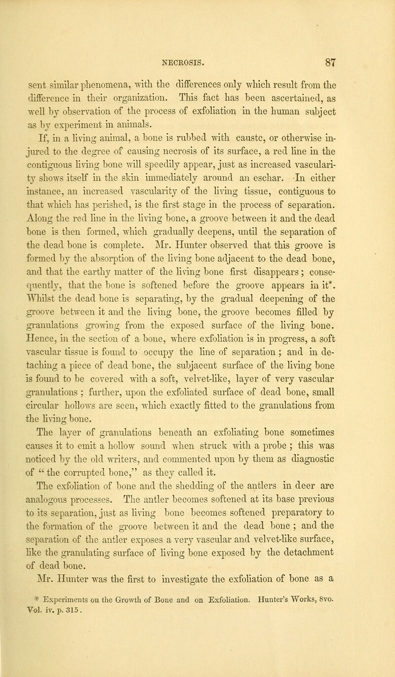 sent similar phenomena, with the differences only which result from the difference in their organization. This fact has been ascertained, as wrell by observation of the process of exfoliation in the human subject as by experiment in animals. If, in a living animal, a bone is rubbed with caustc, or otherwise in- jured to the degree of causing necrosis of its surface, a red line in the contiguous living bone will speedily appear, just as increased vasculari- ty shows itself in the skin immediately around an eschar. In either instance, an increased vascularity of the living tissue, contiguous to that which has perished, is the first stage in the process of separation. Along the red line in the living bone, a groove between it and the dead bone is then formed, which gradually deepens, until the separation of the dead bone is complete. Mr. Hunter observed that this groove is formed by the absorption of the living bone adjacent to the dead bone, and that the earthy matter of the living bone first disappears ; conse- quently, that the bone is softened before the groove appears in it*. Whilst the dead bone is separating, by the gradual deepening of the groove between it and the living bone, the groove becomes filled by granulations growing from the exposed surface of the living bone. Hence, in the section of a bone, where exfoliation is in progress, a soft vascular tissue is found to occupy the line of separation ; and in de- taching a piece of dead bone, the subjacent surface of the living bone is found to be covered with a soft, velvet-like, layer of very vascular granulations ; further, upon the exfoliated surface of dead bone, small circular hollows are seen, which exactly fitted to the granulations from the living bone. The layer of granulations beneath an exfoliating bone sometimes causes it to emit a hollow sound when struck with a probe ; this was noticed by the old writers, and commented upon by them as diagnostic of  the corrupted bone, as they called it. The exfoliation of bone and the shedding of the antlers in deer are analogous processes. The antler becomes softened at its base previous to its separation, just as living bone becomes softened preparatory to the formation of the groove between it and the dead bone ; and the separation of the antler exposes a very vascular and velvet-like surface, like the granulating surface of living bone exposed by the detachment of dead bone. Mr. Hunter was the first to investigate the exfoliation of bone as a * Experiments on the Growth of Bone and on Exfoliation. Hunter's Works, 8vo. Vol. iv. p. 315.