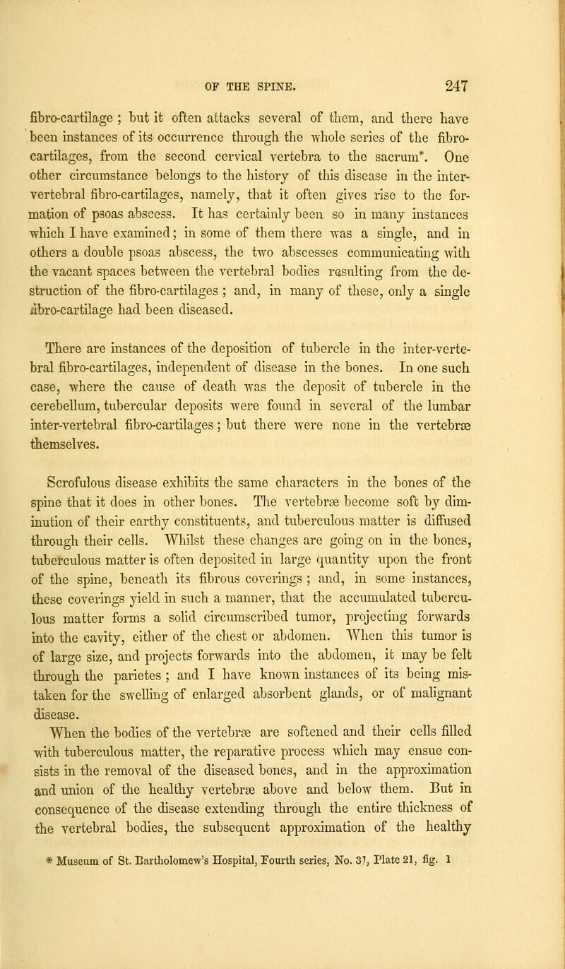 fibro-cartilage ; but it often attacks several of them, and there have been instances of its occurrence through the whole series of the fibro- cartilages, from the second cervical vertebra to the sacrum*. One other circumstance belongs to the history of this disease in the inter- vertebral fibro-cartilages, namely, that it often gives rise to the for- mation of psoas abscess. It has certainly been so in many instances which I have examined; in some of them there was a single, and in others a double psoas abscess, the two abscesses communicating with the vacant spaces between the vertebral bodies resulting from the de- struction of the fibro-cartilages ; and, in many of these, only a single nhro-cartilage had been diseased. There are instances of the deposition of tubercle in the inter-verte- bral fibro-cartilages, independent of disease in the bones. In one such case, where the cause of death was the deposit of tubercle in the cerebellum, tubercular deposits were found in several of the lumbar inter-vertebral fibro-cartilages; but there were none in the vertebrae themselves. Scrofulous disease exhibits the same characters in the bones of the spine that it does in other bones. The vertebrae become soft by dim- inution of their earthy constituents, and tuberculous matter is diffused through their cells. Whilst these changes are going on in the bones, tuberculous matter is often deposited in large quantity upon the front of the spine, beneath its fibrous coverings ; and, in some instances, these coverings yield in such a manner, that the accumulated tubercu- lous matter forms a solid circumscribed tumor, projecting forwards into the cavity, either of the chest or abdomen. When this tumor is of large size, and projects forwards into the abdomen, it may be felt through the parietes ; and I have known instances of its being mis- taken for the swelling of enlarged absorbent glands, or of malignant disease. When the bodies of the vertebrae are softened and their cells filled with tuberculous matter, the reparative process which may ensue con- sists in the removal of the diseased bones, and in the approximation and union of the healthy vertebrae above and below them. But in consequence of the disease extending through the entire thickness of the vertebral bodies, the subsequent approximation of the healthy * Museum of St. Bartholomew's Hospital, Fourth series, No. 37, Plate 21, fig. 1