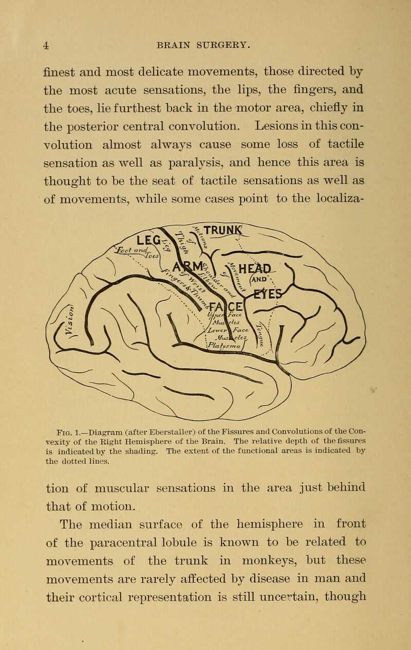finest and most delicate movements, those directed by the most acute sensations, the lips, the fingers, and the toes, lie furthest back in the motor area, chiefly in the posterior central convolution. Lesions in this con- volution almost always cause some loss of tactile sensation as well as paralysis, and hence this area is thought to be the seat of tactile sensations as well as of movements, while some cases point to the localiza- FIG. 1.—Diagram (after Eberstaller) of the Fissures and Convolutions of the Con- vexity of the Right Hemisphere of the Brain. The relative depth of the fissures is indicated by the shading. The extent of the functional areas is indicated by the dotted lines. tion of muscular sensations in the area just behind that of motion. The median surface of the hemisphere in front of the paracentral lobule is known to be related to movements of the trunk in monkeys, but these movements are rarely affected by disease in man and their cortical representation is still uncertain, though