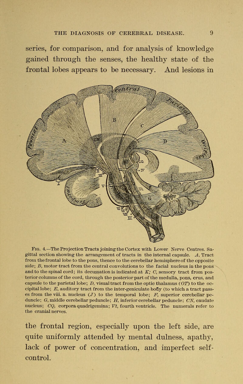 series, for comparison, and for analysis of knowledge gained through the senses, the healthy state of the frontal lobes appears to be necessary. And lesions in Fig. 4.—The Projection Tracts joining the Cortex with Lower Nerve Centres. Sa- gittal section showing the arrangement of tracts in the internal capsule. A, Tract from the frontal lobe to the pons, thence to the cerebellar hemisphere of the opposite side; B, motor tract from the central convolutions to the facial nucleus in the pons and to the spinal cord; its decussation is indicated at K; C, sensory tract from pos- terior columns of the cord, through the posterior part of the medulla, pons, crus, and capsule to the parietal lobe; Z), visual tract from the optic thalamus (OT) to the oc- cipital lobe; E, auditory tract from the inter-geniculate bofly (to which a tract pass- es from the viii. n. nucleus (J) to the temporal lobe; F, superior cerebellar pe- duncle; G, middle cerebellar peduncle; H, inferior cerebellar peduncle; CN, caudate nucleus; CQ, corpora quadrigemina; Vt, fourth ventricle. The numerals refer to the cranial nerves. the frontal region, especially upon the left side, are quite uniformly attended by mental dulness, apathy, lack of power of concentration, and imperfect self- control.