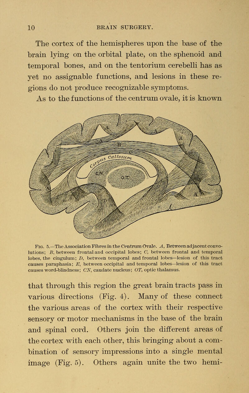 The cortex of the hemispheres upon the base of the brain lying on the orbital plate, on the sphenoid and temporal bones, and on the tentorium cerebelli has as yet no assignable functions, and lesions in these re- gions do not produce recognizable symptoms. As to the functions of the centrum ovale, it is known t7><- 5^ Fig. 5.—The Association Fibres in the Centrum Ovale. A, Between adjacent convo- lutions; B, between frontal and occipital lobes; C, between frontal and temporal lobes, the cingulum; D, between temporal and frontal lobes—lesion of this tract causes paraphasia; E, between occipital and temporal lobes—lesion of this tract causes word-blindness; CN, caudate nucleus; OT, optic thalamus. that through this region the great brain tracts pass in various directions (Fig. 4). Many of these connect the various areas of the cortex with their respective sensory or motor mechanisms in the base of the brain and spinal cord. Others join the different areas of the cortex with each other, this bringing about a com- bination of sensory impressions into a single mental image (Fig. 5). Others again unite the two hemi-