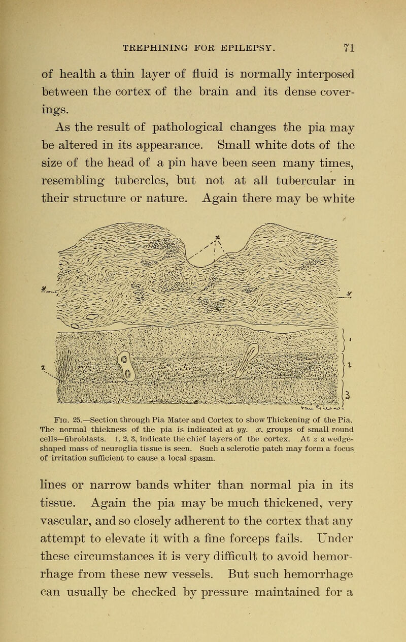 of health a thin layer of fluid is normally interposed between the cortex of the brain and its dense cover- ings. As the result of pathological changes the pia may be altered in its appearance. Small white dots of the size of the head of a pin have been seen many times, resembling tubercles, but not at all tubercular in their structure or nature. Again there may be white Fig. 35.—Section through Pia Mater and Cortex to show Thickening of the Pia. The normal thickness of the pia is indicated at yy. x, groups of small round cells—fibroblasts. 1, 2, 3, indicate the chief layers of the cortex. At z a wedge- shaped mass of neuroglia tissue is seen. Such a sclerotic patch may form a focus of irritation sufficient to cause a local spasm. lines or narrow bands whiter than normal pia in its tissue. Again the pia may be much thickened, very vascular, and so closely adherent to the cortex that any attempt to elevate it with a fine forceps fails. Under these circumstances it is very difficult to avoid hemor- rhage from these new vessels. But such hemorrhage can usually be checked by pressure maintained for a