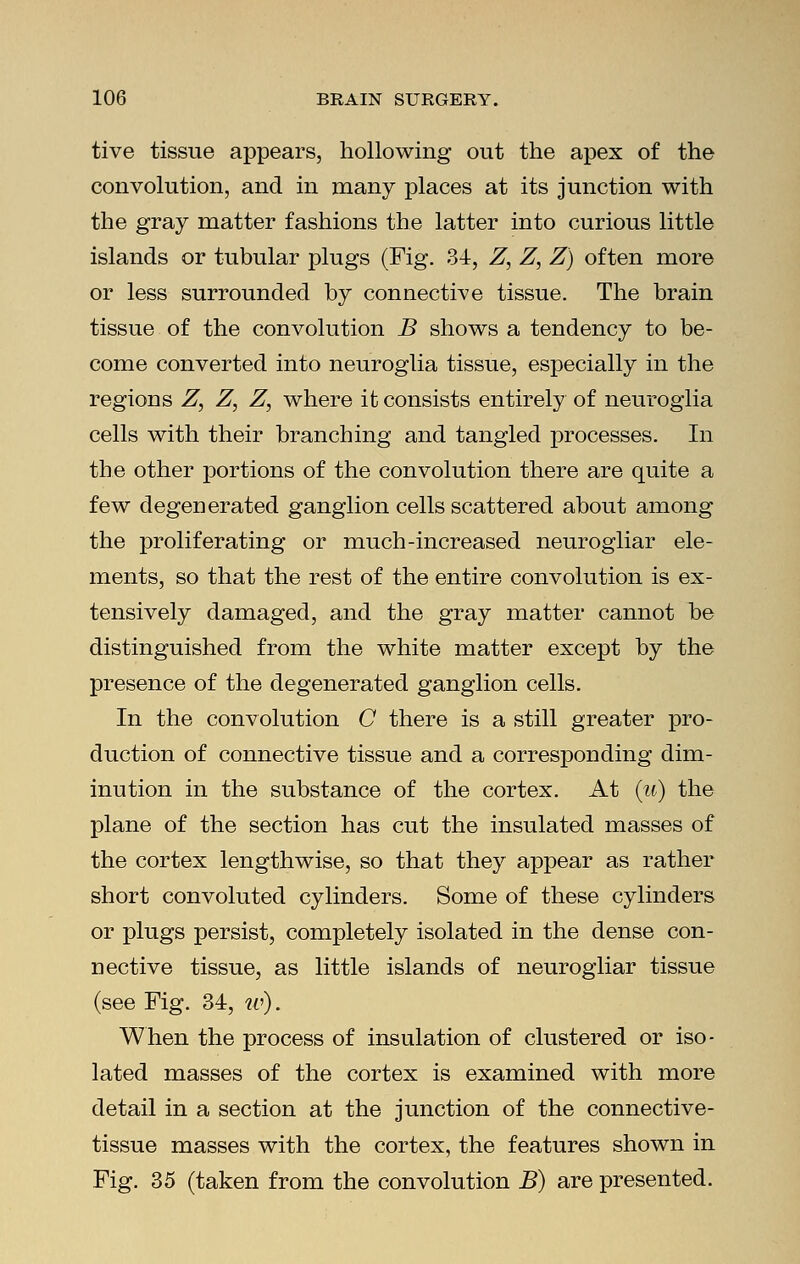 tive tissue appears, hollowing out the apex of the convolution, and in many places at its junction with the gray matter fashions the latter into curious little islands or tubular plugs (Fig. 34, Z, Z, Z) often more or less surrounded by connective tissue. The brain tissue of the convolution B shows a tendency to be- come converted into neuroglia tissue, especially in the regions Z, Z, Z, where it consists entirely of neuroglia cells with their branching and tangled processes. In the other portions of the convolution there are quite a few degenerated ganglion cells scattered about among the proliferating or much-increased neurogliar ele- ments, so that the rest of the entire convolution is ex- tensively damaged, and the gray matter cannot be distinguished from the white matter except by the presence of the degenerated ganglion cells. In the convolution C there is a still greater pro- duction of connective tissue and a corresponding dim- inution in the substance of the cortex. At (u) the plane of the section has cut the insulated masses of the cortex lengthwise, so that they appear as rather short convoluted cylinders. Some of these cylinders or plugs persist, completely isolated in the dense con- nective tissue, as little islands of neurogliar tissue (see Fig. 34, w). When the process of insulation of clustered or iso- lated masses of the cortex is examined with more detail in a section at the junction of the connective- tissue masses with the cortex, the features shown in Fig. 35 (taken from the convolution B) are presented.