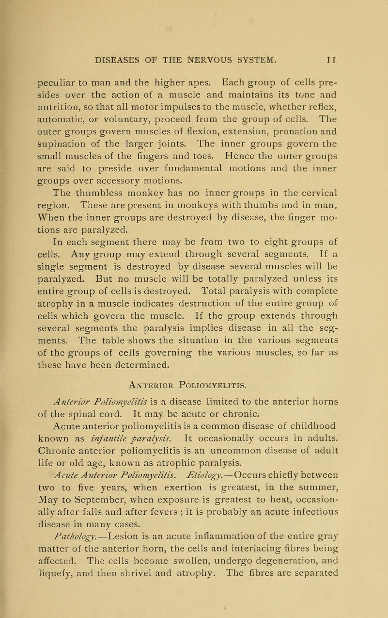 peculiar to man and the higher apes. Each group of cells pre- sides over the action of a muscle and maintains its tone and nutrition, so that all motor impulses to the muscle, whether reflex, automatic, or voluntary, proceed from the group of cells. The outer groups govern muscles of flexion, extension, pronation and supination of the larger joints. The inner groups govern the small muscles of the fingers and toes. Hence the outer groups are said to preside over fundamental motions and the inner groups over accessory motions. The thumbless monkey has no inner groups in the cervical region. These are present in monkeys with thumbs and in man. When the inner groups are destroyed by disease, the finger mo- tions are paralyzed. In each segment there may be from two to eight groups of cells. Any group may extend through several segments. If a single segment is destroyed by disease several muscles will be paralyzed. But no muscle will be totally paralyzed unless its entire group of cells is destroyed. Total paralysis with complete atrophy in a muscle indicates destruction of the entire group of cells which govern the muscle. If the group extends through several segments the paralysis implies disease in all the seg- ments. The table shows the situation in the various segments of the groups of cells governing the various muscles, so far as these have been determined. Anterior Poliomyelitis. Anterior Poliomyelitis is a disease limited to the anterior horns of the spinal cord. It may be acute or chronic. Acute anterior poliomyelitis is a common disease of childhood known as infantile paralysis. It occasionally occurs in adults. Chronic anterior poliomyelitis is an uncommon disease of adult life or old age, known as atrophic paralysis. Acute Anterior Foliojnyelitis. Etiology.—Occurs chiefly between two to five years, when exertion is greatest, in the summer, May to September, v/hen exposure is greatest to heat, occasion- ally after falls and after fevers ; it is probably an acute infectious disease in many cases. Pathology.—Lesion is an acute inflammation of the entire gray matter of the anterior horn, the cells and interlacing fibres being affected. The cells become swollen, undergo degeneration, and liquefy, and then shrivel and atrophy. The fibres are separated