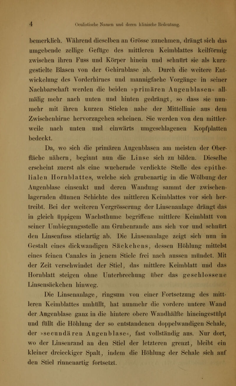 bemerklich. Während dieselben «'in Grösse zunehmen, drängt sich das umgebende zellige Gefüge des mittleren Keimblattes keilförmig zwischen ihren Fuss und Körper hinein und schnürt sie als kurz- gestielte Blasen von der Gehirnblase ab. Durch die weitere Ent- wicklung des Vorderhirnes und mannigfache Vorgänge in seiner Nachbarschaft werden die beiden »primären Augen blasen« all- mälig mehr nach unten und hinten gedrängt, so dass sie nun- mehr mit ihren kurzen Stielen nahe der Mittellinie aus dem Zwischenhirne hervorzugehen scheinen. Sie werden von den mittler- weile nach unten und einwärts umgeschlagenen Kopfplatten bedeckt. Da, wo sich die primären Augenblasen am meisten der Ober- fläche nähern, beginnt nun die Linse sich zu bilden. Dieselbe erscheint zuerst als eine wuchernde verdickte Stelle des epithe- lialen Hornblattes, welche sich grubenartig in die Wölbung der Augenblase einsenkt und deren Wandung sammt der zwischen- lagernden dünnen Schichte des mittleren Keimblattes vor sich her- treibt, Bei der weiteren Vergrösserung der Linsenanlage drängt das in gleich üppigem Wachsthume begriffene mittlere Keimblatt von seiner Umbiegungsstelle am Grubenrande aus sich vor und schnürt den Linsenfnss stielartig ab. Die Linsenanlage zeigt sich nun in Gestalt eines dickwandigen Säckchens, dessen Höhlung mittelst eines feinen Canalcs in jenem Stiele frei nach aussen mündet. Mit der Zeit verschwindet der Stiel, das mittlere Keimblatt und das Hornblatt steigen ohne Unterbrechung über das geschlossene Linsensäckchen hinweg. Die Linsenanlage, ringsum von einer Fortsetzung des mitt- leren Keimblattes umhüllt, hat nunmehr die vordere untere Wand der Augenblase ganz in die hintere obere Wandhälfte hineingestülpt und füllt die Höhlung der so entstandenen doppelwandigen Schale, der »seeundären Augenblase«, fast vollständig aus. Nur dort, wo der Linsenrand an den Stiel der letzteren grenzt, bleibt ein kleiner dreieckiger Spalt, indem die Höhlung der Schale sich auf den Stiel rinnenartig fortsetzt.