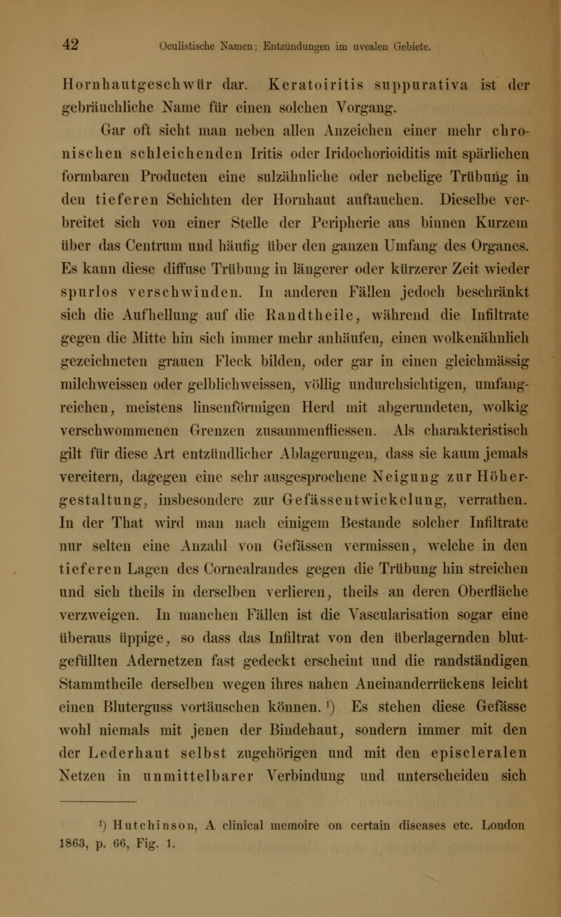 Hornhautgeschwür dar. Keratoiritis suppurativa ist der gebräuchliche Name für einen solchen Vorgang-. Gar oft sieht man neben allen Anzeichen einer mehr chro- nischen schleichenden Iritis oder Iridochorioiditis mit spärlichen formbaren Producten eine sulzähnliche oder nebelige Trübung in den tieferen Schichten der Hornhaut auftauchen. Dieselbe ver- breitet sich von einer Stelle der Peripherie aus binnen Kurzem über das Centrum und häufig über den ganzen Umfang des Organes. Es kann diese diffuse Trübung in längerer oder kürzerer Zeit wieder spurlos verschwinden. In anderen Fällen jedoch beschränkt sich die Aufhellung auf die K an dt heile, während die Infiltrate gegen die Mitte hin sich immer mehr anhäufen, einen wolkenähnlich gezeichneten grauen Fleck bilden, oder gar in einen gleichmässig milchweissen oder gelblichweissen, völlig undurchsichtigen, umfang- reichen, meistens linsenförmigen Herd mit abgerundeten, wolkig verschwommenen Grenzen zusammenfliessen. Als charakteristisch gilt für diese Art entzündlicher Ablagerungen, dass sie kaum jemals vereitern, dagegen eine sehr ausgesprochene Neigung zurHöher- gestaltung, insbesondere zur GefässeutWickelung, verrathen. In der That wird man nach einigem Bestände solcher Infiltrate nur selten eine Anzahl von Gefässen vermissen, welche in den tieferen Lagen des Cornealrandes gegen die Trübung hin streichen und sich theils in derselben verlieren, theils an deren Oberfläche verzweigen. In manchen Fällen ist die Vascularisation sogar eine überaus üppige, so dass das Infiltrat von den überlagernden blut- gefüllten Adernetzen fast gedeckt erscheint und die randständigen Stammtheile derselben wegen ihres nahen Aneinanderrückens leicht einen Bluterguss vortäuschen können. l) Es stehen diese Gefässe wohl niemals mit jenen der Bindehaut, sondern immer mit den der Leder haut selbst zugehörigen und mit den episcleralen Netzen in unmittelbarer Verbindung und unterscheiden sich *) Hutchinson, A clinical memoire on certain diseases etc. London 1863, p. 66, Fig. 1.