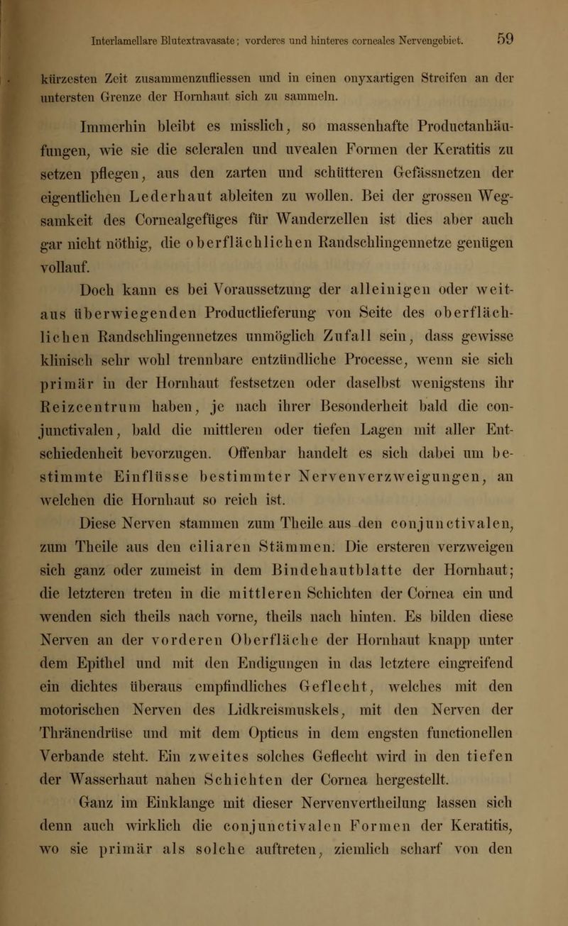kürzesten Zeit zusammenzufliessen und in einen onyxartigen Streifen an der untersten Grenze der Hornhaut sich zu sammeln. Immerhin bleibt es misslich; so massenhafte Produetanhäu- fungen, wie sie die scleralen und uvealen Formen der Keratitis zu setzen pflegen, aus den zarten und schütteren Gefässnetzen der eigentlichen Lederhaut ableiten zu wollen. Bei der grossen Weg- samkeit des Cornealgefüges für Wanderzellen ist dies aber auch gar nicht nöthig, die oberflächlichen Randschlingennetze genügen vollauf. Doch kann es bei Voraussetzung der alleinigen oder weit- aus überwiegenden Productlieferung von Seite des oberfläch- lichen Kandschlingennetzes unmöglich Zufall sein, dass gewisse klinisch sehr wohl trennbare entzündliche Processe, wenn sie sich primär in der Hornhaut festsetzen oder daselbst wenigstens ihr Reizcentrum haben, je nach ihrer Besonderheit bald die con- jimctivalen, bald die mittleren oder tiefen Lagen mit aller Ent- schiedenheit bevorzugen. Offenbar handelt es sich dabei um be- stimmte Einflüsse bestimmter Nervenverzweigungen, an welchen die Hornhaut so reich ist. Diese Nerven stammen zum Theile aus den conjunctivalen, zum Theile aus den ciliaren Stämmen. Die ersteren verzweigen sich ganz oder zumeist in dem Bindehautblatte der Hornhaut; die letzteren treten in die mittleren Schichten der Cornea ein und wenden sich theils nach vorne, theils nach hinten. Es bilden diese Nerven an der vorderen Oberfläche der Hornhaut knapp unter dem Epithel und mit den Endigungen in das letztere eingreifend ein dichtes überaus empfindliches Geflecht, welches mit den motorischen Nerven des Lidkreismuskels; mit den Nerven der Thränendrüse und mit dem Opticus in dem engsten functionellen Verbände steht. Ein zweites solches Geflecht wird in den tiefen der Wasserhaut nahen Schichten der Cornea hergestellt. Ganz im Einklänge mit dieser Nervenvertheilung lassen sich denn auch wirklich die conjunctivalen Formen der Keratitis, wo sie primär als solche auftreten; ziemlich scharf von den