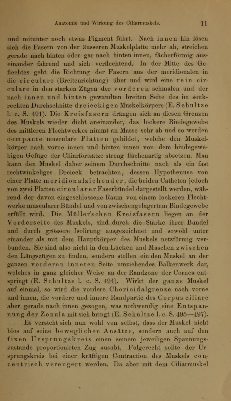 und mitunter noch etwas Pigment führt. Nach innen hin lösen sich die Fasern von der äusseren Muskelplatte mehr ab, streichen gerade nach hinten oder gar nach hinten innen, fächerförmig aus- einander fahrend und sich verflechtend. In der Mitte des Ge- flechtes geht die Richtung der Fasern aus der meridionalen in die circulare (Breitenrichtung) über und wird eine rein cir- culare in den starken Zügen der vorderen schmalen und der nach innen und hinten gewandten breiten Seite des im senk- rechten Durchschnitte dreieckigen Muskelkörpers (E. Schultze 1. c. S. 491). Die Kr eis fasern drängen sich an diesen Grenzen des Muskels wieder dicht aneinander, das lockere Bindegewebe des mittleren Flechtwerkes nimmt an Masse sehr ab und so werden compacte musculare Platten gebildet, welche den Muskel- körper nach vorne innen und hinten innen von dem bindegewe- bigen Gefüge der Ciliarfortsätze streng flächenartig absetzen. Man kann den Muskel daher seinem Durchschnitte nach als ein fast rechtwinkeliges Dreieck betrachten, dessen Hypothenuse von einer Platte meridionalziehender, die beiden Catheten jedoch von zwei Platten circularer Faserbündel dargestellt werden, wäh- rend der davon eingeschlossene Raum von einem lockeren Flecht- werke muscularer Bündel und von zwischengelagertem Bindegewebe erfüllt wird. Die Müllerschen Kreisfasern liegen an der Vorderseite des Muskels, sind durch die Stärke ihrer Bündel und durch grössere Jsolirung ausgezeichnet und sowohl unter einander als mit dem Hauptkörper des Muskels netzförmig ver- bunden. Sie sind also nicht in den Lücken und Maschen zwischen den Längszügen zu finden, sondern stellen ein den Muskel an der ganzen vorderen inneren Seite umziehendes Balkenwerk dar, welches in ganz gleicher Weise an der Randzone der Cornea ent- springt (E. Schultze 1. c. S. 494). Wirkt der ganze Muskel auf einmal, so wird die vordere Chorioidalgrenze nach vorne und innen, die vordere und innere Randpartie des Corpus ciliare aber gerade nach innen gezogen, was nothwendig eine Entspan- nung der Zonula mit sich bringt (E. Schultze 1. c. S. 495—497). Es versteht sich nun wohl von selbst, dass der Muskel nicht blos auf seine beweglichen Ansätze, sondern auch auf den fixen Ursprungskreis einen seinem jeweiligen Spannungs- zustande proportionirten Zug ausübt. Folgerecht sollte der Ur- sprungskreis bei einer kräftigen Contraction des Muskels con- centrisch verengert werden. Da aber mit dem Ciliarmuskel