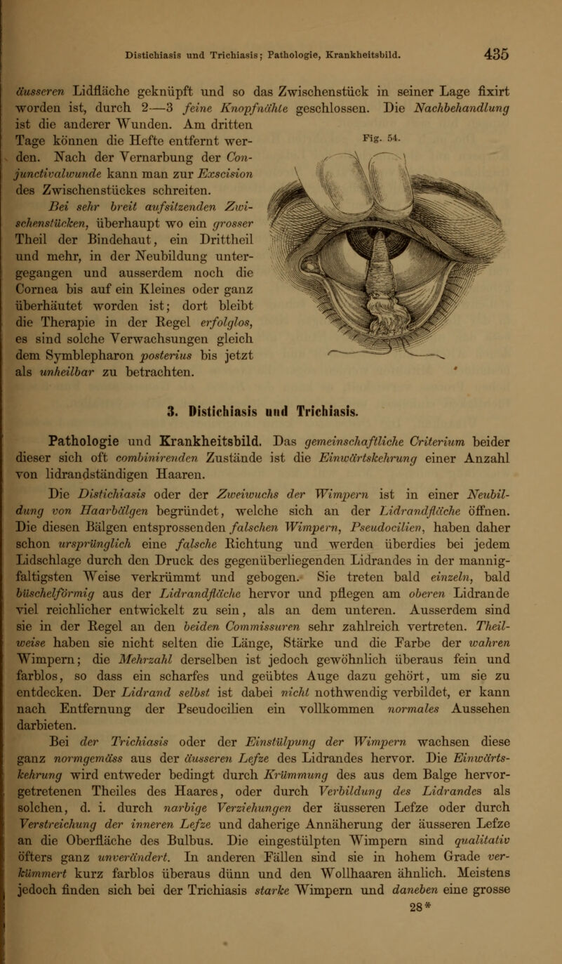 äusseren Lidfläche geknüpft und so das Zwischenstück in seiner Lage fixirt worden ist, durch 2—3 feine KnopfnähCe geschlossen. Die Nachbehandlung ist die anderer Wunden. Am dritten Tage können die Hefte entfernt wer- Fig- 54- den. Nach der Vernarbung der Con- junctivalwunde kann man zur Exscision des Zwischenstückes schreiten. Bei sehr breit aufsitzenden Zwi- schenstücken, überhaupt wo ein grosser Theil der Bindehaut, ein Drittheil und mehr, in der Neubildung unter- gegangen und ausserdem noch die Cornea bis auf ein Kleines oder ganz überhäutet worden ist; dort bleibt die Therapie in der Regel erfolglos, es sind solche Verwachsungen gleich dem Symblepharon posterius bis jetzt als unheilbar zu betrachten. 3. Distichiasis und Trichiasis. Pathologie und Krankheitsbild. Das gemeinschaftliche Criterium beider dieser sich oft combinirenden Zustände ist die Einwärtskehrung einer Anzahl von lidrandständigen Haaren. Die Distichiasis oder der Zweiwuchs der Wimpern ist in einer Neubil- dung von Haarbälgen begründet, welche sich an der Lidrandfläche öffnen. Die diesen Bälgen entsprossenden falschen Wimpern, Pseudocilien, haben daher schon ursprünglich eine falsche Richtung und werden überdies bei jedem Lidschlage durch den Druck des gegenüberliegenden Lidrandes in der mannig- faltigsten Weise verkrümmt und gebogen. Sie treten bald einzeln, bald büschelförmig aus der Lidrandfläche hervor und pflegen am oberen Lidrande viel reichlicher entwickelt zu sein, als an dem unteren. Ausserdem sind sie in der Regel an den beiden Commissuren sehr zahlreich vertreten. Theil- weise haben sie nicht selten die Länge, Stärke und die Farbe der wahren Wimpern; die Mehrzahl derselben ist jedoch gewöhnlich überaus fein und farblos, so dass ein scharfes und geübtes Auge dazu gehört, um sie zu entdecken. Der Lidrand selbst ist dabei nicht nothwendig verbildet, er kann nach Entfernung der Pseudocilien ein vollkommen normales Aussehen darbieten. Bei der Trichiasis oder der Einstülpung der Wimpern wachsen diese ganz normgemäss aus der äusseren L,efze des Lidrandes hervor. Die Einwärts- kehrung wird entweder bedingt durch Krümmung des aus dem Balge hervor- getretenen Theiles des Haares, oder durch Verbildung des Lidrandes als solchen, d. i. durch narbige Verziehungen der äusseren Lefze oder durch Verstreichung der inneren Lefze und daherige Annäherung der äusseren Lefze an die Oberfläche des Bulbus. Die eingestülpten Wimpern sind qualitativ öfters ganz unverändert. In anderen Fällen sind sie in hohem Grade ver- kümmert kurz farblos überaus dünn und den Wollhaaren ähnlich. Meistens jedoch finden sich bei der Trichiasis starke Wimpern und daneben eine grosse 28*