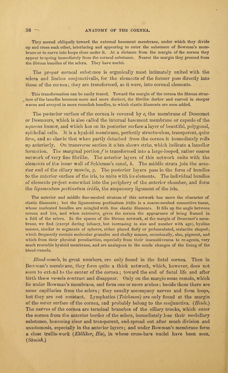 They ascend obliquely toward the external basement membrane, uuder which they divide up and cross each other, interlacing and appearing to enter the substance of Bowman's mem- brane or to curve into loops close under it. At a distance from the margin of the cornea they appear to spring immediately from the corneal substance. Nearer the margin they proceed from the fibrous bundles of the sclera. They have nuclei. The proper corneal substance is organically most intimately united with the sclera and limbus conjunctivalis, for the elements of the former pass directly into those of the cornea; they are transformed, as it were, into corneal elements. This transformation can be easily traced. Toward the margin of the cornea the fibrous struc- ture of the lamellae becomes more and more distinct, the fibrillse darker and curved in steeper waves and arrayed in more roundish bundles, to which elastic filaments are soon added. The posterior surface of the cornea is covered by e, the membrane of Descemet or Desmours, which is also called the internal basement membrane or capsule of the aqueous humor, and which has on its posterior surface a layer of beautiful, polygonal, epithelial cells. It is a hyaloid membrane, perfectly structureless, transparent, quite firm, and so elastic that when partly detached from the cornea it immediately rolls up anteriorly. On transverse section it often shows stride, which indicate a lamellar formation. The marginal portion/is transformed into a large-looped, rather coarse network of very line fibrilbje. The anterior layers of this network unite with the elements of the inner wall of Schlemm's canal, h. The middle strata join the ante- rior end of the ciliary muscle, g. The posterior layers pass in the form of bundles to the anterior surface of the iris, to unite with its elements. The individual bundles of elements project somewhat into the periphery of the anterior chamber, and form the lig amentum pectinatum iridis, the suspensory ligament of the iris. The anterior and middle fine-meshed stratum of this network has more the character of elastic filaments; but the ligamentum pectinatum iridis is a coarse-meshed connective tissue, whose nucleated bundles are mingled with fine elastic filaments. It fills up the angle between cornea and iris, and when extensive, gives the cornea the appearance of being framed in a fold of the sclera. In the spaces of the fibrous network, at the margin of Descemet's mem- brane, we find (except during infancy, but increasing in size and number with age), hyaline masses, similar to segments of spheres, either placed flatly or pedunculated, stalactite shaped; which frequently contain molecular granules and chalky masses, occasionally, also, pigment, and which from their physical peculiarities, especially from their insensitiveness to re-agents, very much resemble hyaloid membraue, and are analagous to the senile changes of the lining of the blood-vessels. Blood-vessels, in great numbers, are only found in the foetal cornea. Then in Bowman's membrane, they form quite a thick network, which, however, does not seem to extend to the center of the cornea ; toward the end of foetal life and after birth these vessels contract and disappear. Only on the margin some remain, which lie under Bowman's membrane, and form one or more arches ; beside these there are some capillaries from the sclera; they usually accompany nerves and form loops, but they are not constant. Lymphatics (Teiclimari) are only found at the margin of the outer surface of the cornea, and probably belong to the conjunctiva, (ffenle.) The nerves of the cornea are terminal branches of the ciliary trunks, which enter the cornea from the anterior border of the sclera, immediately lose their medullary substance, becoming clear and transparent, and-spread out after much division and anastomosis, especially in the anterior layers; and under Bowman's membrane form a close trellis-work {Kolliker, His), in whose cross-bars nuclei have been seen. {Samish.)