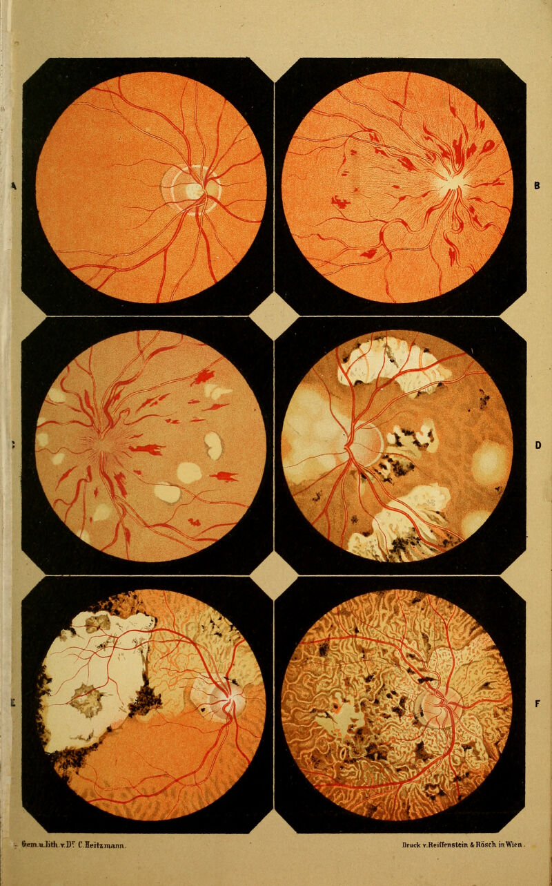 (rem.nJith.T.D? C leHz Reiffenstein & RoscK in Wien.