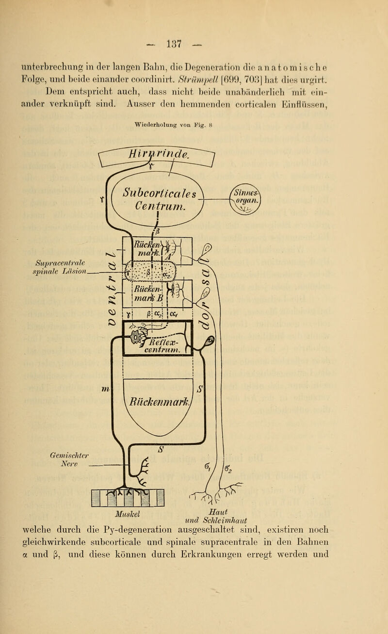 Unterbrechung in der langen Bahn, die Degonoratlon die a n a i o m i s c li c. Folge, und beide einander coordinirt. SfrümpeU |fi9V), 7().')| li;ii (li(^s urgiit. Dem entspricht auch, dass nicht beide iiiialiäiiderlieli mit ein- ander verknüpft .sind. Ausser den hemmenden corticalen Eintiiissen, Wiederliolung von Fig. 8 Supracenfrale spinale Läsion Gemischter Nerv Muskel , „-S««^ und Schleimhaut welche durch die Py-degeneration ausgeschaltet sind, existiren noch gleichwirkende subcorticale und spinale supracentrale in den Bahnen a und ß, und diese können durch Erkrankungen erregt werden und