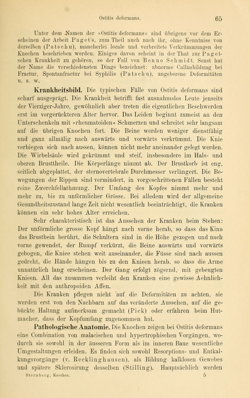 Unter dem .Namen der »Ostitis deformans« sind übrigens vor dem Er- seheinen der Arbeit Paget's, zum Theil auch nach ihr, ohne Kenntniss von derselben (Patschu), mancherlei locale und verbreitete Verkrümmungen der Knochen beschrieben worden. Einiges davon scheint in der That zur Paget- schen Krankheit zu gehören, so der Fall von Benno Schmidt. Sonst hat der Name die verschiedensten Dinge bezeichnet: abnorme Callusbildung bei Fractur, Spontanfractnr bei Syphilis (Patschu), angeborene Deformitäten u. s. w. Kranklieitsbild. Die typischen Fälle von Ostitis deformans sind scharf ausgeprägt. Die Krankheit betrifft fast ausnahmslos Leute jenseits der Vierziger-Jahre, gewöhnlich aber treten die eigentlichen Beschwerden erst im vorgerückteren Alter hervor. Das Leiden beginnt zumeist an den Unterschenkeln mit »rheumatoiden« Schmerzen und schreitet sehr langsam auf die übrigen Knochen fort. Die Beine werden weniger dienstfähig und ganz allmälig nach auswärts und vorwärts verkrümmt. Die Knie verbiegen sich nach aussen, können nicht mehr aneinander gelegt werden. Die Wirbelsäule wird gekrümmt und steif, insbesondere im Hals- und oberen Brusttheile. Die Körperlänge nimmt ab. Der Brustkorb ist eng, seitlich abgeplattet, der sternovertebrale Durchmesser verlängert. Die Be- wegungen der Bippen sind vermindert, in vorgeschrittenen Fällen besteht reine Zwerchfellathmung. Der Umfang des Kopfes nimmt mehr und mehr zu, bis zu unförmlicher Grösse. Bei alledem wird der allgemeine Gesundheitszustand lange Zeit nicht wesentlich beeinträchtigt, die Kranken können ein sehr hohes Alter erreichen. Sehr charakteristisch ist das Aussehen der Kranken beim Stehen: Der unförmliche grosse Kopf hängt nach vorne herab, so dass das Kinn das Brustbein berührt, die Schultern sind in die Höhe gezogen und nach vorne gewendet, der Bumpf verkürzt, die Beine auswärts und vorwärts gebogen, die Kniee stehen weit auseinander, die Füsse sind nach aussen gedreht, die Hände hängen bis zu den Knieen herab, so dass die Arme unnatürlich lang erscheinen. Der Gang erfolgt zögernd, mit gebeugten Knieen. All das zusammen verleiht den Kranken eine gewisse Aehnlich- keit mit den anthropoiden Affen. Die Kranken pflegen nicht auf die Deformitäten zu achten, sie werden erst von den Nachbarn auf das veränderte Aussehen, auf die ge- bückte Haltung aufmerksam gemacht (Pick) oder erfahren beim Hut- macher, dass der Kopfumfang zugenommen hat. Pathologische Anatomie. Die Knochen zeigen bei Ostitis deformans eine Combination von malacischen und hypertrophischen Vorgängen, wo- durch sie sowohl in der äusseren Form als im inneren Baue wesentliche Umgestaltungen erleiden. Es finden sich sowohl Besorptions- und Entkal- kungsvorgänge (v. Becklinghausen), als Bildung kalklosen Gewebes und spätere Sklerosirung desselben (Stilling). Hauptsächlich werden Sternberg, Knochen. 5