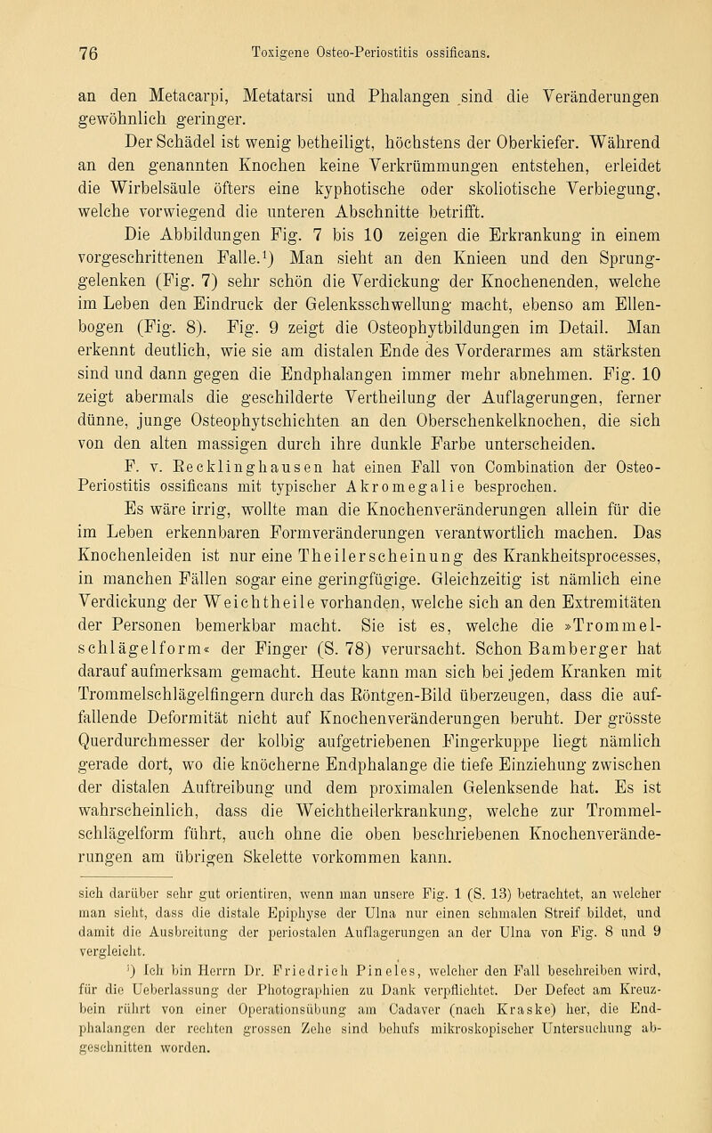 an den Metacarpi, Metatarsi und Phalangen sind die Veränderungen gewöhnlich geringer. Der Schädel ist wenig betheiligt, höchstens der Oberkiefer. Während an den genannten Knochen keine Verkrümmungen entstehen, erleidet die Wirbelsäule öfters eine kyphotische oder skoliotische Verbiegung, welche vorwiegend die unteren Abschnitte betrifft. Die Abbildungen Fig. 7 bis 10 zeigen die Erkrankung in einem vorgeschrittenen Falle.1) Man sieht an den Knieen und den Sprung- gelenken (Fig. 7) sehr schön die Verdickung der Knochenenden, welche im Leben den Eindruck der Gelenksschwellung macht, ebenso am Ellen- bogen (Fig. 8). Fig. 9 zeigt die Osteophytbildungen im Detail. Man erkennt deutlich, wie sie am distalen Ende des Vorderarmes am stärksten sind und dann gegen die Endphalangen immer mehr abnehmen. Fig. 10 zeigt abermals die geschilderte Vertheilung der Auflagerungen, ferner dünne, junge Osteophytschichten an den Oberschenkelknochen, die sich von den alten massigen durch ihre dunkle Farbe unterscheiden. F. v. Eecklinghausen hat einen Fall von Cornbination der Osteo- periostitis ossifieans mit typischer Akromegalie besprochen. Es wäre irrig, wollte man die Knochenveränderungen allein für die im Leben erkennbaren Formveränderungen verantwortlich machen. Das Knochenleiden ist nur eine Theilerscheinung des Krankheitsprocesses, in manchen Fällen sogar eine geringfügige. Gleichzeitig ist nämlich eine Verdickung der Weichtheile vorhanden, welche sich an den Extremitäten der Personen bemerkbar macht. Sie ist es, welche die »Trommel- schlägelform« der Finger (S. 78) verursacht. Schon Bamberger hat darauf aufmerksam gemacht. Heute kann man sich bei jedem Kranken mit Trommelschlägelfingern durch das Eöntgen-Bild überzeugen, dass die auf- fallende Deformität nicht auf Knochenveränderungen beruht. Der grösste Querdurchmesser der kolbig aufgetriebenen Fingerkuppe liegt nämlich gerade dort, wo die knöcherne Endphalange die tiefe Einziehung zwischen der distalen Auftreibung und dem proximalen Gelenksende hat. Es ist wahrscheinlich, dass die Weichtheilerkrankung, welche zur Trommel- schlägelform führt, auch ohne die oben beschriebenen Knochenverände- rungen am übrigen Skelette vorkommen kann. sieh darüber sehr gut orientiren, wenn man unsere Fig. 1 (S. 13) betrachtet, an welcher man sieht, dass die distale Epiphyse der Ulna nur einen sehmalen Streif bildet, und damit die Ausbreitung der periostalen Auflagerungen an der Ulna von Fig. 8 und 9 vergleicht. '') Ich bin Herrn Dr. Friedrich Pineles, welcher den Fall besehreiben wird, für die Ueberlassung der Photographien zu Dank verpflichtet. Der Defect am Kreuz- bein rührt von einer Operationsübung am Cadaver (nach Kraske) her, die End- phalangen der rechten grossen Zehe sind behufs mikroskopischer Untersuchung ab- geschnitten worden.