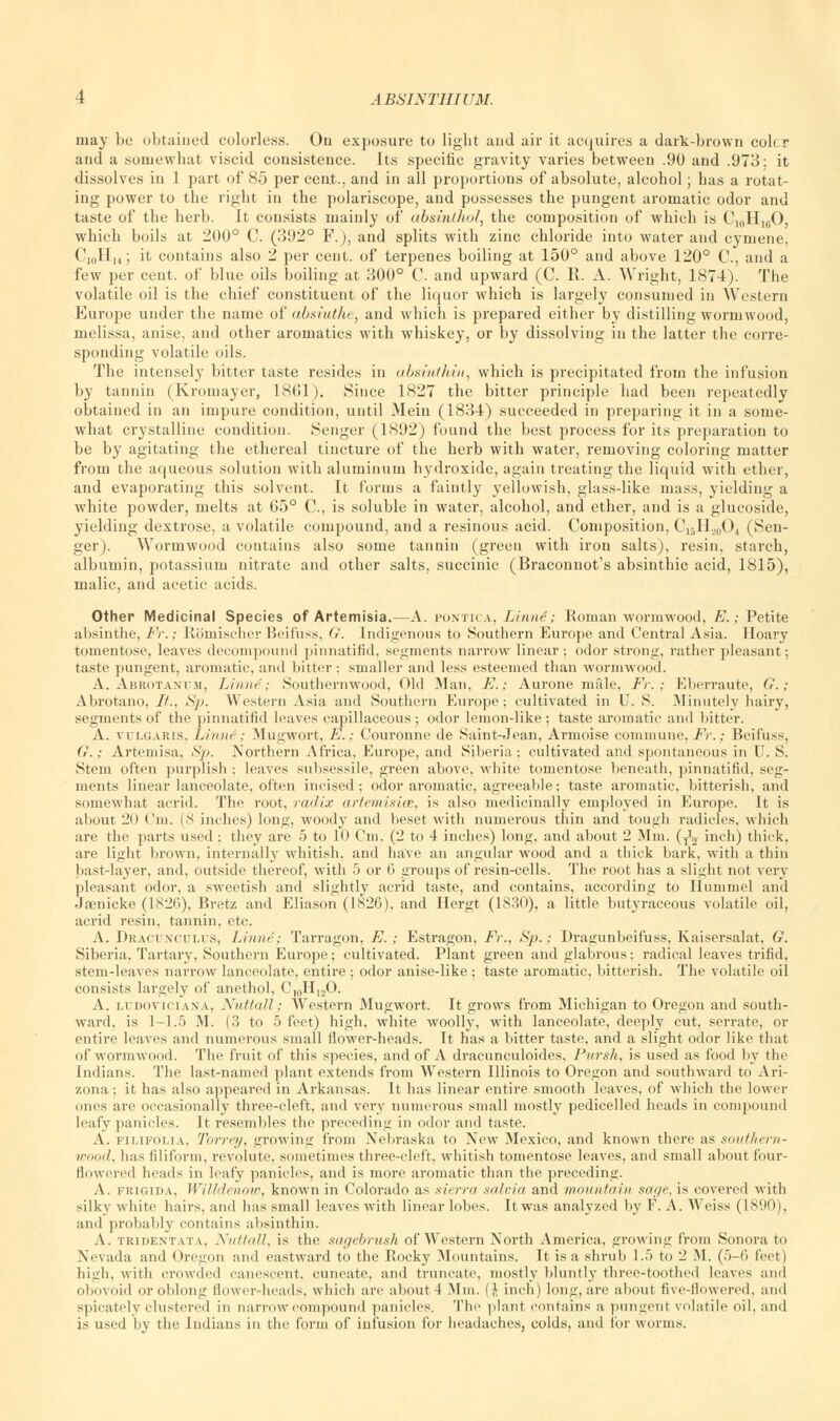 may be obtained colorless. On exposure to light and air it acquires a dark-brown colcr and a somewhat viscid consistence. Its specific gravity varies between .90 and .973; it dissolves in 1 part of 85 per cent., and in all proportions of absolute, alcohol; has a rotat- ing power to the right in the polariscope, and possesses the pungent aromatic odor and taste of the herb. It consists mainly of absinthol, the composition of which is C10H16O, which boils at 200° C. (392° F.J, and splits with zinc chloride into water and cymene, C,0H14; it contains also 2 per cent, of terpenes boiling at 150° and above 120° C, and a few per cent, of blue oils boiling at 300° C. and upward (C. K. A. Wright, 1874). The volatile oil is the chief constituent of the liquor which is largely consumed in Western Europe under the name of absiuthe, and which is prepared either by distilling wormwood, melissa, anise, and other aromatics with whiskey, or by dissolving in the latter the corre- sponding volatile oils. The intensely bitter taste resides in absinthin, which is precipitated from the infusion by tannin (Kromayer, 1861). Since 1827 the bitter principle had been repeatedly obtained in an impure condition, until Mein (1834) succeeded in preparing it in a some- what crystalline condition. Senger (1892) found the best process for its preparation to be by agitating the ethereal tincture of the herb with water, removing coloring matter from the aqueous solution with aluminum hydroxide, again treating the liquid with ether, and evaporating this solvent. It forms a faintly yellowish, glass-like mass, yielding a white powder, melts at 65° C, is soluble in water, alcohol, and ether, and is a glucoside, yielding dextrose, a volatile compound, and a resinous acid. Composition, C15H20O4 (Sen- ger). Wormwood contains also some tannin (green with iron salts), resin, starch, albumin, potassium nitrate and other salts, succinic (Braconnot's absinthic acid, 1815), malic, and acetic acids. Other Medicinal Species of Artemisia.—A. fontica, lAnne; Roman wormwood, E.; Petite absinthe, Fr.; Rijniischer Beifuss, G. Indigenous to Southern Europe and Central Asia. Hoary tomentose, leaves decompound pinnatifid, segments narrow linear ; odor strong, rather pleasant; taste pungent, aromatic, and bitter: smaller and less esteemed than wormwood. A. Abrotanum, Liniir; Southernwood, Old Man. E.; Aurone male. Fr. ; Eberraute, G.; Abrotano, It., Sp. Western Asia and Southern Europe; cultivated in U. S. Minutely hairy, segments of the pinnatifid leaves capillaceous; odor lemon-like; taste aromatic and bitter. A. vulgaris. Liiiur: Mugwort, E./ Couronne de Saint-Jean, Armoise commune, Fr.; Beifuss, (,'. ; Artemisa, Sp. Northern Africa, Europe, and Siberia; cultivated and spontaneous in U. S. Stem often purplish •, leaves subsessile, green above, white tomentose beneath, pinnatifid, seg- ments linear lanceolate, often incised; odor aromatic, agreeable; taste aromatic, bitterish, and somewhat acrid. The root, radix artemisice, is also medicinally employed in Europe. It is about 20 t'lii. (8 inches) long, woody and beset with numerous thin and tough radicles, which are the parts used : they are 5 to 10 Cm. (2 to 4 inches) long, and about 2 Mm. (y1^ inch) thick, are light brown, internally whitish, and have an angular wood and a thick bark, with a thin bast-layer, and, outside thereof, with 5 or 6 groups of resin-cells. The root has a slight not very pleasant odor, a sweetish and slightly acrid taste, and contains, according to Hummel and Jamicke (1826), Bretz and Eliason (1826), and Hergt (1830), a little butyraceous volatile oil, acrid resin, tannin, etc. A. Dracunculus, Linnc; Tarragon, E.; Estragon, Fr., Sp.: Dragunbeifuss, Kaisersalat, G. Siberia, Tartary, Southern Europe; cultivated. Plant green and glabrous; radical leaves trifid, stem-leaves narrow lanceolate, entire ; odor anise-like ; taste aromatic, bitterish. The volatile oil consists largely of anethol, Cl0H,2O. A. ludoviciaxa, Nuttall; Western Mugwort. It grows from Michigan to Oregon and south- ward, is 1-1.5 M. (3 to 5 feet) high, white woolly, with lanceolate, deeply cut, serrate, or entire leaves and numerous small flower-heads. It has a bitter taste, and a slight odor like that of wormwood. The fruit of this species, and of A dracunculoides, Ptirs/i, is used as food by the Indians. The last-named plant extends from Western Illinois to Oregon and southward to Ari- zona ; it has also appeared in Arkansas. It has linear entire smooth leaves, of which the lower ones are occasionally three-cleft, and very numerous small mostly pedicelled heads in compound leafy panicles. It resembles the preceding in odor and taste. A. filifOlia. Torrey, growing from Nebraska to New Mexico, and known there as southern- wood, has filiform, revolute, sometimes three-cleft, whitish tomentose leaves, and small about four- flowered heads in leafy panicles, and is more aromatic than the preceding. A. frigida, Willdenow, known in Colorado as sierra salvia and mountain sage, is covered with silky white hairs, and has small leaves with linear lobes. It was analyzed by F. A. Weiss (1890), and probably contains absinthin. A. tbidentata, Nuttall, is the sagebrush of Western North America, growing from Sonora to Nevada and Oregon and eastward to the Rocky Mountains. It is a shrub 1.5 to 2 M. (5-6 feet) high, with crowded canescent, cuneate, and truncate, mostly bluntly three-toothed leaves and obovoid or oblong flower-heads, which are about! Mm. (I inch) long, are about five-flowered, and spicately clustered in narrow compound panicles. The plant contains a pungent volatile oil, and is used by the Indians in the form of infusion for headaches, colds, and for worms.