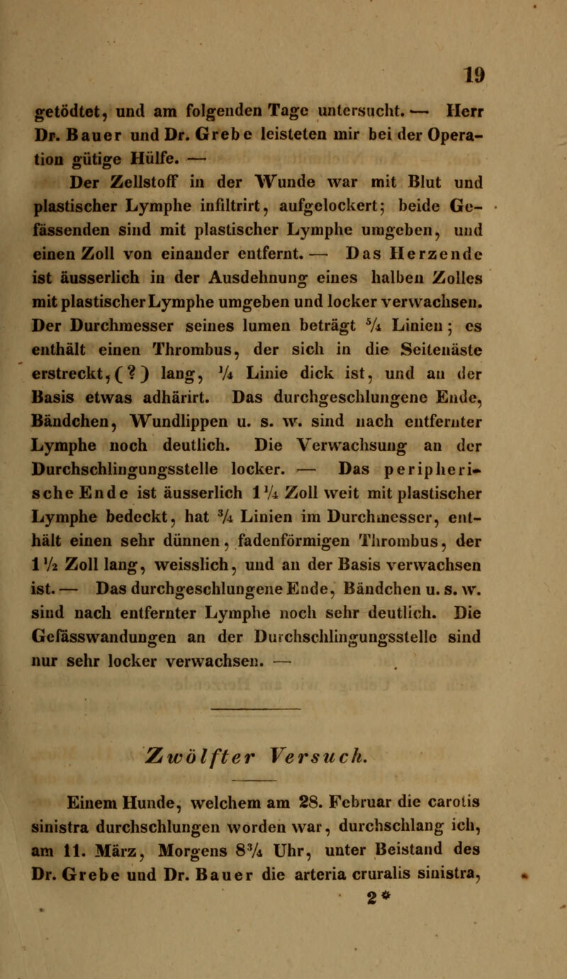 getödtet, und am folgenden Tage untersucht.-— Herr Dr. Bauer und Dr. Grebe leisteten mir bei der Opera- tion gütige Hülfe. — Der Zellstoff in der Wunde war mit Blut und plastischer Lymphe infiltrirt, aufgelockert; beide Ge- fässenden sind mit plastischer Lymphe umgeben, und einen Zoll von einander entfernt.— Das Herzende ist äusserlich in der Ausdehnung eines halben Zolles mit plastischer Lymphe umgeben und locker verwachsen. Der Durchmesser seines lumen beträgt Vi Linien; es enthält einen Thrombus, der sich in die Seitenäste erstreckt,(?) l^^gj V* Linie dick ist, und an der Basis etwas adhärirt. Das durchgeschlungene Ende, Bändchen, Wundlippen u. s. w. sind nach entfernter Lymphe noch deutlich. Die Verwachsung an der Durchschlingungsstelle locker. — Das peripheri- sche Ende ist äusserlich IVi Zoll weit mit plastischer Lymphe bedeckt, hat % Linien im Durchmesser, ent- hält einen sehr dünnen, fadenförmigen Thrombus, der 1 V2 Zoll lang, weisslich, und an der Basis verwachsen ist. — Das durchgeschlungene Ende, Bändchen u. s. w. sind nach entfernter Lymphe noch sehr deutlich. Die Gcfasswandungen an der Durchschlingungsstelle sind nur sehr locker verwachsen. — Zwölfter Versteck, Einem Hunde, welchem am 28. Februar die carotis sinistra durchschlungen worden war, durchschlang ich, am 11. März, Morgens 8V4 Uhr, unter Beistand des Dr. Grebe und Dr. Bauer die arteria cruralis sinistra, 2*