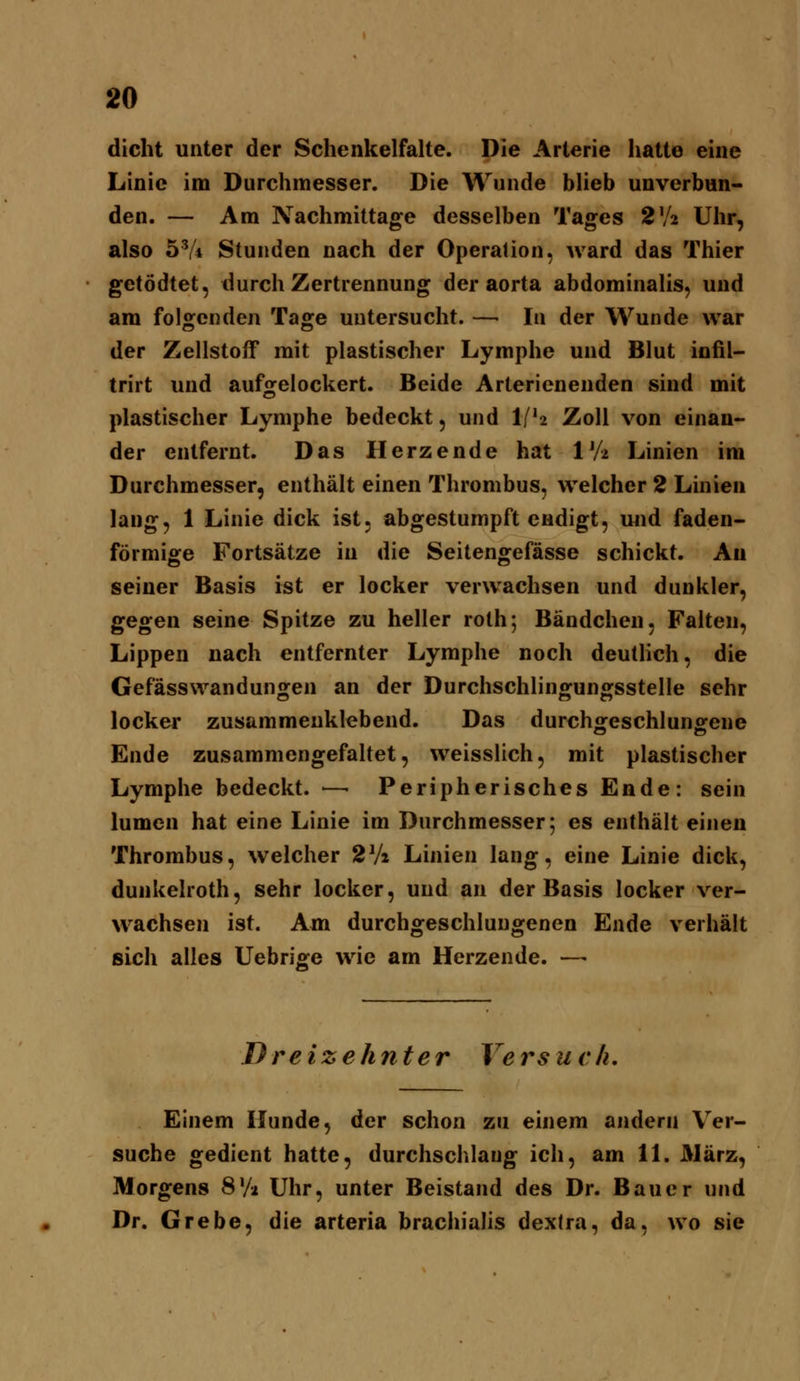 dicht unter der Schenkelfalte. Die Arterie hatte eine Linie im Durchmesser. Die Wunde blieb unverbun- den. — Am Nachmittage desselben Tages 2V2 Uhr, also 5^4 Stunden nach der Operation, ward das Thier getödtet, durch Zertrennung der aorta abdominalis, und am folgenden Tage untersucht. — In der Wunde war der Zellstoff mit plastischer Lymphe und Blut iofil- trirt und aufgelockert. Beide Arterienenden sind mit plastischer Lymphe bedeckt, und l/'2 Zoll von einan- der entfernt. Das Herzende hat IV-i. Linien im Durchmesser, enthält einen Thrombus, welcher 2 Linien lang, 1 Linie dick ist. abgestumpft endigt, und faden- förmige Fortsätze in die Seitengefässe schickt. Au seiner Basis ist er locker verwachsen und dunkler, gegen seine Spitze zu heller rolh; Bändchen, Falten, Lippen nach entfernter Lymphe noch deulHch, die Gefässwandungen an der Durchschlingungsstelle sehr locker zusammenklebend. Das durchofeschlunorene Ende zusammengefaltet, weisslich, mit plastischer Lymphe bedeckt. — Peripherisches Ende: sein lumen hat eine Linie im Durchmesser; es enthält einen Thrombus, welcher 2Vz Linien lang, eine Linie dick, dunkelroth, sehr locker, und an der Basis locker ver- wachsen ist. Am durchgeschluugenen Ende verhält sich alles Uebrige wie am Herzende. — Dreizehnter Versuch. Einem Hunde, der schon zu einem andern Ver- suche gedient hatte, durchschlaug ich, am IL März, Morgens S'A Uhr, unter Beistand des Dr. Bauer und Dr, Grebe, die arteria brachialis dextra, da, wo sie