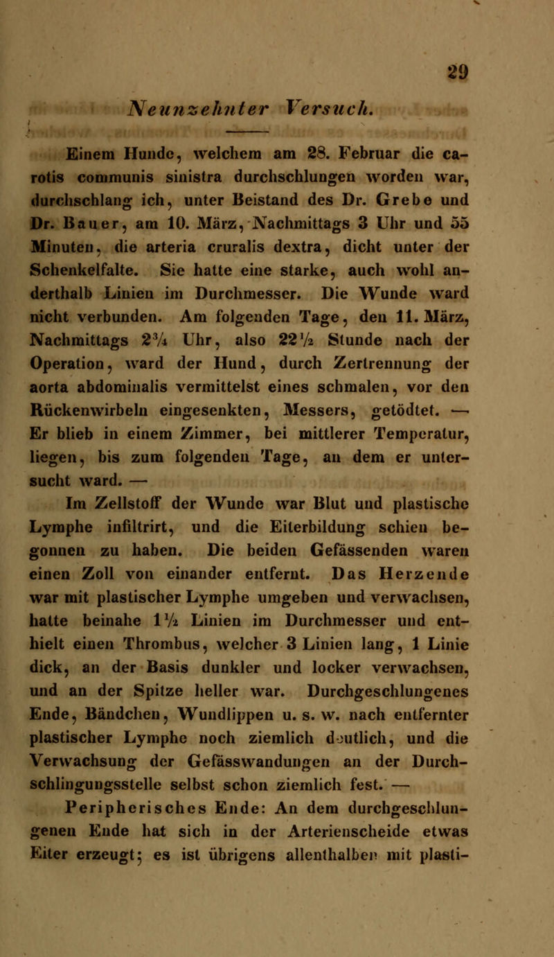 Neunzehnter Versuch. Einem Hunde, welchem am 28. Februar die ca- rotis communis sinistra durchschlungen worden war, durdischlang ich, unter Beistand des Dr. Grebe und Dr. Bauer, am 10. März, Nachmittags 3 Uhr und 55 Minuten, die arteria cruralis dextra, dicht unter der Schenkelfalte. Sie hatte eine starke, auch wohl an- derthalb Linien im Durchmesser. Die Wunde ward nicht verbunden. Am folgenden Tage, den 11. 3Iärz, Nachmittags 2V4 Uhr, also 22V2 Stunde nach der Operation, ward der Hund, durch Zertrennung der aorta abdominalis vermittelst eines schmalen, vor den Rückenwirbeln eingesenkten, Messers, getödtet. —■ Er blieb in einem Zimmer, bei mittlerer Temperatur, liegen, bis zum folgenden Tage, an dem er unter- sucht ward. — Im Zellstoff der Wunde war Blut und plastische Lymphe infiltrirt, und die Eiterbildung schien be- gonnen zu haben. Die beiden Gefässenden waren einen Zoll von einander entfernt. Das Herzende war mit plastischer Lymphe umgeben und verwachsen, hatte beinahe IV2 Linien im Durchmesser und ent- hielt einen Thrombus, welcher 3 Linien lang, 1 Linie dick, an der Basis dunkler und locker verwachsen, und an der Spitze heller war. Durchgeschlungenes Ende, Bändchen, Wundlippen u. s. w. nach entfernter plastischer Lymphe noch ziemlich deutlich, und die Verwachsung der GefässWandungen an der Durch- schlingungsstelle selbst schon ziemlich fest. — Peripherisches Ende: An dem durchgeschlun- genen Ende hat sich in der Arterienscheide etwas Eiter erzeugt 5 es ist übrigens allenthalben mit plasli-