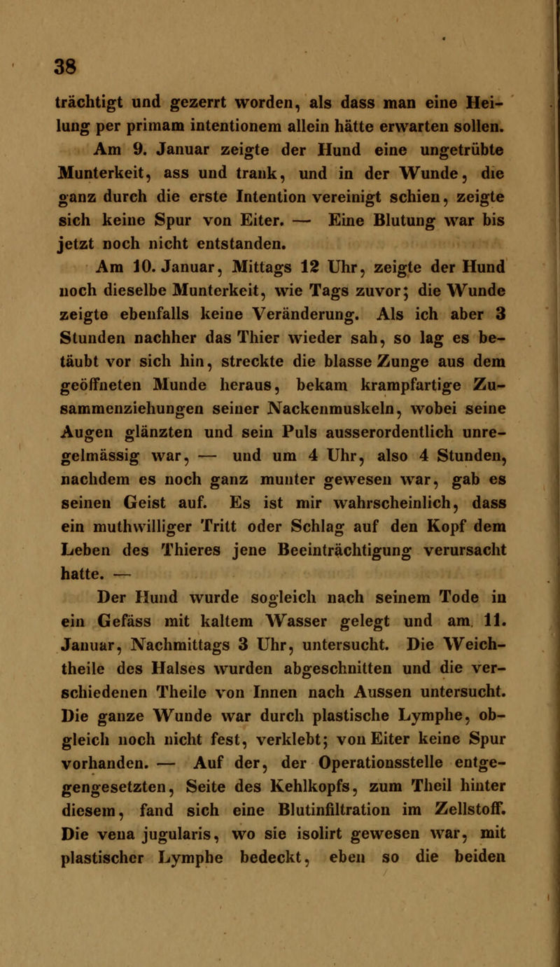 trächtigt und gezerrt worden, als dass man eine Hei- lung per primam intentionem allein hätte erwarten sollen. Am 9. Januar zeigte der Hund eine ungetrübte Munterkeit, ass und trank, und in der Wunde, die ganz durch die erste Intention vereinigt schien, zeigte sich keine Spur von Eiter. — Eine Blutung war bis jetzt noch nicht entstanden. Am 10. Januar, Mittags 12 Uhr, zeigte der Hund noch dieselbe Munterkeit, wie Tags zuvor; die Wunde zeigte ebenfalls keine Veränderung. Als ich aber 3 Stunden nachher das Thier wieder sah, so lag es be- täubt vor sich hin, streckte die blasse Zunge aus dem geöffneten Munde heraus, bekam krampfartige Zu- sammenziehungen seiner Nackenmuskeln, wobei seine Augen glänzten und sein Puls ausserordentlich unre- gelmässig war, — und um 4 Uhr, also 4 Stunden, nachdem es noch ganz munter gewesen war, gab es seineu Geist auf. Es ist mir wahrscheinlich, dass ein muthwilliger Tritt oder Schlag auf den Kopf dem Leben des Thieres jene Beeinträchtigung verursacht hatte. — Der Hund wurde sogleich nach seinem Tode in ein Gefäss mit kaltem Wasser gelegt und am 11. Januar, Nachmittags 3 Uhr, untersucht. Die Weich- theile des Halses wurden abgeschnitten und die ver- schiedenen Theile von Innen nach Aussen untersucht. Die ganze Wunde war durch plastische Lymphe, ob- gleich noch nicht fest, verklebt; von Eiter keine Spur vorhanden. — Auf der, der Operationsstelle entge- gengesetzten, Seite des Kehlkopfs, zum Theil hinter diesem, fand sich eine Blutinfiltration im Zellstoff. Die Vena jugularis, wo sie isolirt gewesen war, mit plastischer Lymphe bedeckt, eben so die beiden