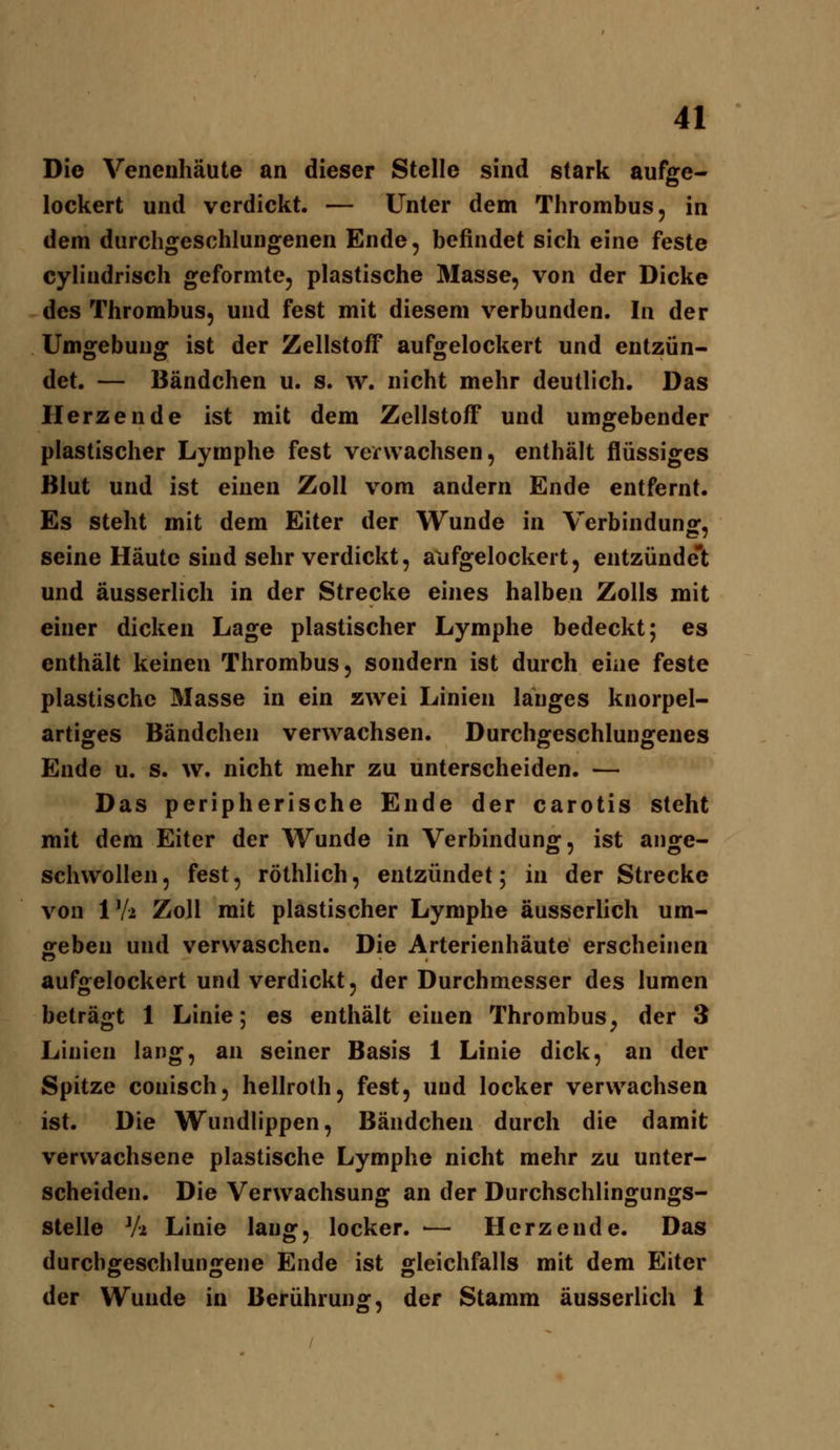 Die Venenhäute an dieser Stelle sind stark aufge- lockert und verdickt. — Unter dem Thrombus, in dem durchgeschlungenen Ende, befindet sich eine feste cyliudrisch geformte, plastische Masse, von der Dicke des Thrombus, und fest mit diesem verbunden. In der Umgebung ist der Zellstoff aufgelockert und entzün- det. — Bändchen u. s. w. nicht mehr deutlich. Das Herzende ist mit dem Zellstoff und umgebender plastischer Lymphe fest verwachsen, enthält flüssiges Blut und ist einen Zoll vom andern Ende entfernt. Es steht mit dem Eiter der Wunde in Verbindung, seine Häute sind sehr verdickt, aufgelockert, entzünde*t und äusserlich in der Strecke eines halben Zolls mit einer dicken Lage plastischer Lymphe bedeckt; es enthält keinen Thrombus, sondern ist durch eine feste plastische Masse in ein zwei Linien langes knorpel- artiges Bändchen verwachsen. Durchgeschlungenes Ende u. s. w. nicht mehr zu unterscheiden. — Das peripherische Ende der carotis steht mit dem Eiter der Wunde in Verbindung, ist ange- schwollen , fest, röthlich, entzündet; in der Strecke von IVi Zoll mit plastischer Lymphe äusserlich um- geben und verwaschen. Die Arterienhäute erscheinen aufgelockert und verdickt, der Durchmesser des lumen beträgt 1 Linie; es enthält einen Thrombus, der 3 Linien lang, an seiner Basis 1 Linie dick, an der Spitze conisch, hellroth, fest, und locker verwachsen ist. Die Wundlippen, Bändchen durch die damit verwachsene plastische Lymphe nicht mehr zu unter- scheiden. Die Verwachsung an der Durchschlingungs- stelle Vi Linie lang, locker. •— Herzende. Das durcbgeschlungene Ende ist gleichfalls mit dem Eiter der Wunde in Berührung, der Stamm äusserlich 1