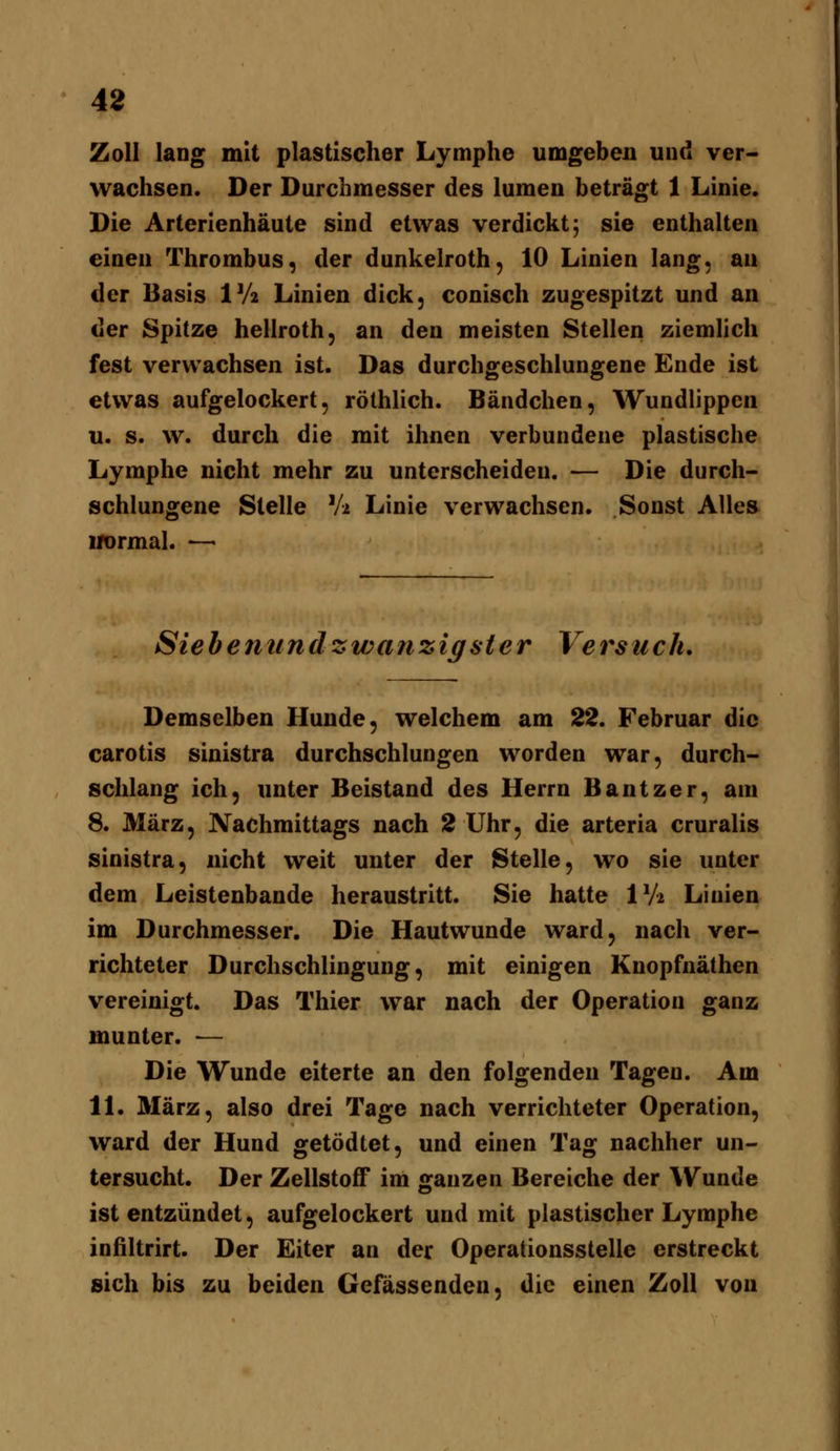 Zoll lang mit plastischer Lymphe umgeben und ver- wachsen. Der Durchmesser des lumen beträgt 1 Linie. Die Arterienhäute sind etwas verdickt; sie enthalten einen Thrombus, der dunkelroth, 10 Linien lang, an der Basis IV2 Linien dick, conisch zugespitzt und an der Spitze hellroth, an den meisten Stellen ziemhch fest verwachsen ist. Das durchgeschlungene Ende ist etwas aufgelockert, röthlich. Bändchen, Wundlippen u. s. w. durch die mit ihnen verbundene plastische Lymphe nicht mehr zu unterscheiden. — Die durch- schlungene Stelle V2 Linie verwachsen. Sonst Alles irormal. —' Sieb emind zwanzig st er Versuch. Demselben Hunde, welchem am 22. Februar die carotis sinistra durchschlungen worden war, durch- schlang ich, unter Beistand des Herrn Bantzer, am 8. März, Nachmittags nach 2 Uhr, die arteria cruralis sinistra, nicht weit unter der Stelle, wo sie unter dem Leistenbande heraustritt. Sie hatte IV2 Linien im Durchmesser. Die Hautwunde ward, nach ver- richteter Durchschlingung, mit einigen Knopfnäthen vereinigt. Das Thier war nach der Operation ganz munter. — Die Wunde eiterte an den folgenden Tagen. Am IL März, also drei Tage nach verrichteter Operation, ward der Hund getödtet, und einen Tag nachher un- tersucht. Der Zellstoff im ganzen Bereiche der Wunde ist entzündet, aufgelockert und mit plastischer Lymphe infiltrirt. Der Eiter an der Operationsstelle erstreckt sich bis zu beiden Gefässenden, die einen Zoll von