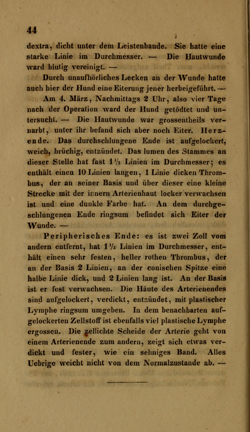 i dextra, dicht unter dem Leistenbande. Sie hatte eine starke Linie im Durchmesser. ■— Die Hautwunde ward blutig vereinigt. — Durch unaufhörliches Lecken an der Wunde hatte auch hier der Hund eine Eiterung jener herbeigeführt. — Am 4. März, Nachmittags 2 Uhr, also vier Tage nach der Operation ward der Hund getödtet und un- tersucht. — Die Hautwunde war grossentheils ver- narbt, unter ihr befand sich aber noch Eiter. Herz- ende. Das durchschlungene Ende ist aufgelockert, weich, brüchig, entzündet. Das lumen des Stammes an dieser Stelle hat fast 1'A Linien im Durchmesser 5 es enthält einen 10 Linien langen, 1 Linie dicken Throm- bus, der an seiner Basis und über dieser eine kleine Strecke mit der ii:nern Arterienhaut locker verwachsen ist und eine dunkle Farbe hat. An dem durchge- schlungenen Ende ringsum befindet sich Eiter der Wunde. — Peripherisches Ende: es ist zwei Zoll vom andern entfernt, hat IV2 Linien im Durchmesser, ent- hält einen sehr festen, heller rothen Thrombus, der an der Basis 2 Linien, an der conischen Spitze eine halbe Linie dick, und 2 Linien lang ist. An der Basis ist er fest verwachsen. Die Häute des Arterienendes sind aufgelockert, verdickt, entzündet, mit plastischer Lymphe ringsum umgeben. In dem benachbarten auf- gelockerten Zellstoff ist ebenfalls viel plastische Lymphe ergossen. Die j^ellichte Scheide der Arterie geht von einem Arterienende zum andern, zeigt sich etwas ver- dickt und fester, wie ein sehniges Band. Alles Uebrifire weicht nicht von dem Normalzustande ab. —