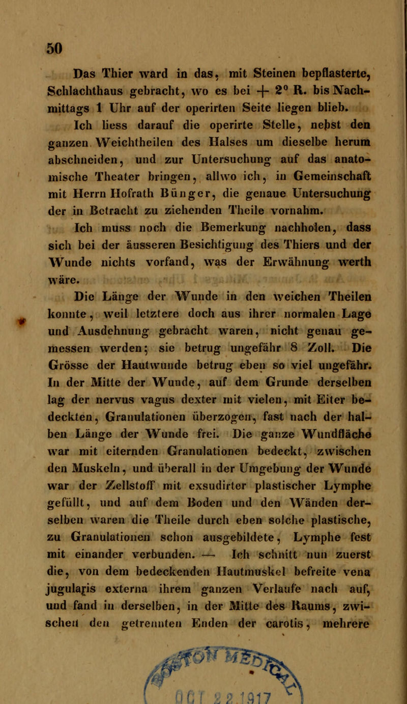 Das Thier ward in das, mit Steinen bepflasterte, Schlachthaus gebracht, wo es bei -{- 2^ R. bis Nach- mittags 1 Uhr auf der operirten Seite liegen blieb. Ich Hess darauf die operirte Stelle, neJ)St den ganzen Weichtheilen des Halses um dieselbe herum abschneiden, und zur Untersuchung auf das anato- mische Theater bringen, alhvo ich, in Geraeinschaft mit Herrn Ilofrath Bünger, die genaue Untersuchung der in Betracht zu ziehenden Theile vornahm. Ich muss noch die Bemerkung nachholen, dass sich bei der äusseren Besichtigung des Thiers und der Wunde nichts vorfand, was der Erwähnung werth wäre. Die Länge der Wunde in den weichen Theilen konnte, weil letztere doch aus ihrer normalen Lage und Ausdehnung gebracht waren, nicht genau ge- messen werden 5 sie betrug ungefähr 8 Zoll. Die Grösse der Hautwunde betrug eben so viel ungefähr. In der Mitte der Wunde, auf dem Grunde derselben lag der nervus vagus dexter mit vielen, mit Eiter be- deckten, Granulationen überzogen, fast nach der hal- ben Länge der Wunde frei. Die ganze Wundfläche war mit eiternden Granulationen bedeckt, zwischen den Muskeln, und überall in der Umgebung der Wunde war der Zellstoff mit exsudirter plastischer Lymphe gefüllt, und auf dem Boden und den Wänden der- selben waren die Theile durch eben solche plastische, zu Granulationen schon ausgebildete, Lymphe fest mit einander verbunden. — Ich schnitt nun zuerst die, von dem bedeckenden Hautmuskel befreite vena jugulafis externa ihrem ganzen Verlaufe nach auf, und fand in derselben, in der Mitte des Raums, zwi- schen den getrennten Enden der carotis, mehrere f