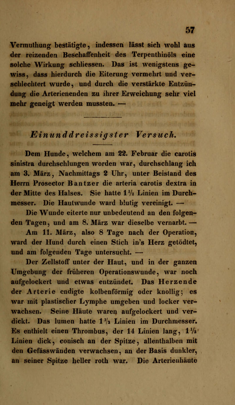 Vermulhung bestätigte, indessen lässt sich wohl aus der reizenden Beschajffenheit des TerpenthinÖls eine solche Wirkung schliessen. Das ist wenigstens ge- wiss, dass hierdurch die Eiterung vermehrt und ver- schlechtert wurde, und durch die verstärkte Entzün- dung die Arterienenden zu ihrer Erweichung sehr viel mehr geneigt v/erden mussten. — Einunddreissigster Versuch, Dem Hunde, welchem am 22. Februar die carotis sinistra durchschlungen worden war, durchschlang ich am 3. März, Nachmittags 3 Uhr, unter Beistand des Herrn Prosector Bantzer die arteria carotis dextra in der Mitte des Halses. Sie hatte 1 Vi Linien im Durch- messer. Die Hautwunde ward blutig vereinigt. — Die Wunde eiterte nur unbedeutend an den folgen- den Tagen, und am 8. 3Iärz war dieselbe vernarbt. — Am 11. März, also 8 Tage nach der Operation, ward der Hund durch einen Stich in's Herz getödtet, und am folgenden Tage untersucht. — Der Zellstoff unter der Haut, und in der ganzen Umgebung der früheren Operationswunde, war noch aufgelockert und etwas entzündet. Das Herzende der Arterie endigte kolbenförmig oder knollig; es war mit plastischer Lymphe umgeben und locker ver- wachsen. Seine Häute waren aufgelockert und ver- dickt. Das lumen hatte iVa Linien im Durchmesser, Es enthielt einen Thrombus, der 14 Linien lang, IV2 Linien dick, conisch an der Spitze, allenthalben mit den Gefässwänden verwachsen, an der Basis dunkler, an seiner Spitze heller roth war. Die Arterienhäute