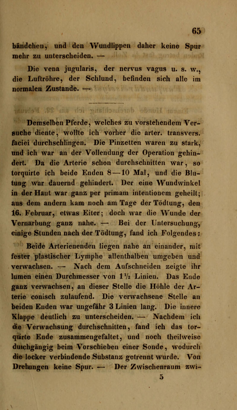 bändcheu, und den Wundlippen daher keine Spur mehr zu unterscheiden. — Die Vena jugularis, der nervus vagus u. s. w.j die Luftröhre, der Schlund, befinden sich alle im normalen Zustande. —- Demselben Pferde, welches zu vorstehendem Ver- suche diente, wollte ich vorher die arter. transvers. faciei durchschlingen. Die Pinzetten waren zu stark, und ich war an der Vollendung der Operation gehin- dert. Da die Arterie schon durchschnitten war, so torquirte ich beide Enden 8 —10 Mal, und die Blu- tung war dauernd gehindert. Der eine Wundvvinkel in der Haut war ganz per primam intentionem geheilt; aus dem andern kam noch am Tage der Tödtung, den 16. Februar, etwas Eiter; doch war die Wunde der Vernarbung ganz nahe. — Bei der Untersuchung, einige Stunden nach der Tödtung, fand ich Folgendes: Beide Arterienenden liegen nahe an einander, mit fester plastischer Lymphe allenthalben umgeben und verwachsen. — Nach dem Aufschneiden zeigte ihr lumen einen Durchmesser von IV2 Linien. Das Ende ganz verwachsen, an dieser Stelle die Höhle der Ar- terie conisch zulaufend. Die verwachsene Stelle an beiden Enden war ungefähr 3 Linien lang. Die innere Klappe deutlich zu unterscheiden. — Nachdem ich die Verwachsung durchschnitten, fand ich das tor- quirte Ende zusammengefaltet, und noch theilweise duichgängig beim Vorschieben einer Sonde, wodurch die locker verbindende Substanz getrennt wurde. Von Drehungen keine Spur. — Der Zwischenraum zwi- 5