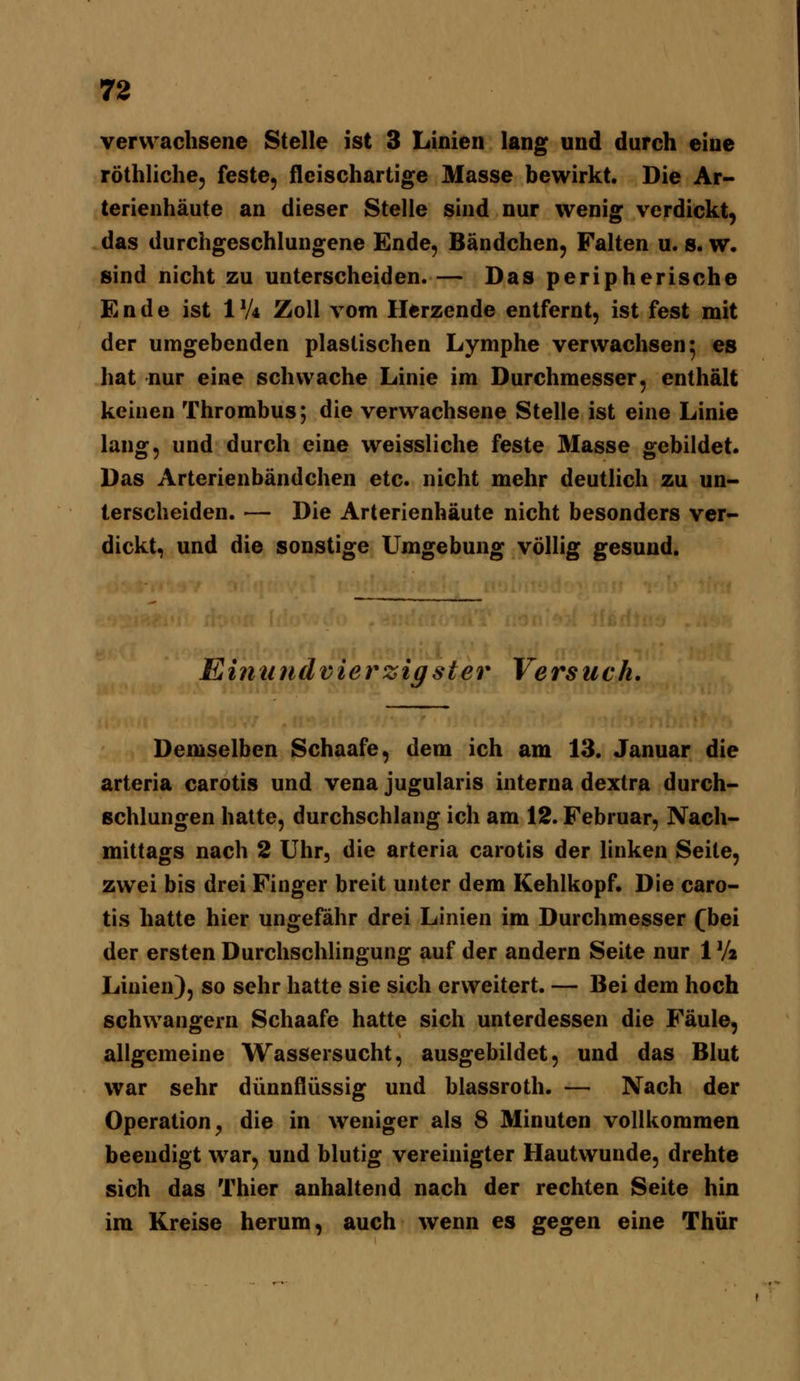 verwachsene Stelle ist 3 Linien lang und durch eine röthliche, feste, fleischartige Masse bewirkt. Die Ar- terienhäute an dieser Stelle sind nur wenig verdickt, das durchgeschlungene Ende, Bändchen, Falten u. s. w. sind nicht zu unterscheiden. — Das peripherische Ende ist IV4 Zoll vom Herzende entfernt, ist fest mit der umgebenden plastischen Lymphe verwachsen 5 es hat nur eine schwache Linie im Durchmesser, enthält keinen Thrombus; die verwachsene Stelle ist eine Linie lang, und durch eine weissliche feste Masse gebildet. Das Arterienbändchen etc. nicht mehr deutlich zu un- terscheiden. — Die Arterienhäute nicht besonders ver- dickt, und die sonstige Umgebung völlig gesund. Einundvierzigster Versuch. Demselben Schaafe, dem ich am 13. Januar die arteria carotis und vena jugularis interna dextra durch- schlungen hatte, durchschlang ich am 12. Februar, Nach- mittags nach 2 Uhr, die arteria carotis der linken Seite, zwei bis drei Finger breit unter dem Kehlkopf. Die caro- tis hatte hier ungefähr drei Linien im Durchmesser f bei der ersten Durchschlingung auf der andern Seite nur 1 Vi Linien), so sehr hatte sie sich erweitert. — Bei dem hoch schwangern Schaafe hatte sich unterdessen die Fäule, allgemeine Wassersucht, ausgebildet, und das Blut war sehr dünnflüssig und blassroth. — Nach der Operation, die in weniger als 8 Minuten vollkommen beendigt war, und blutig vereinigter Hautwunde, drehte sich das Thier anhaltend nach der rechten Seite hin im Kreise herum, auch wenn es gegen eine Thür