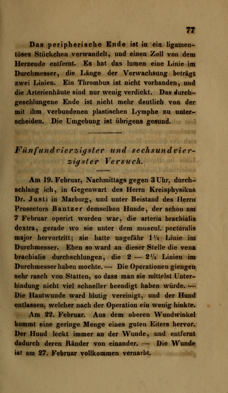 Das peripherische Ende ist in ein ligamen- töses Stückchen verwandelt, und einen Zoll von dem Herzende entfernt. Es hat das luraen eine Linie im Durchmesser, die Länge der Verwachsung beträgt zwei Linien. Ein Thrombus ist nicht vorhanden, und die Arterienhäute sind nur wenig verdickt. Das durch- geschlungene Ende ist nicht mehr deutlich von der mit ihm verbundenen plastischen Lymphe zu unter- scheiden. Die Umgebung ist übrigens gesund. Fünfiindxnerzigster und sechstindvier- zig st er Versuch, Am 19. Februar, Nachmittags gegen 3Uhr^ durch- schlang ich, in Gegenwart des Herrn Kreisphysikus Dr. Justi in Marburg, und unter Beistand des Herrn Prosectors Bantzer demselben Hunde, der schon am 7 Februar operirt worden war, die arteria brachialis dextra, gerade wo sie unter dem muscul. pcctoralis major hervortritt; sie hatte ungefähr IV2 Linie im Durchmesser. Eben so ward an dieser Stelle die vena brachialis durchschlungen, die 2 — 2V2 Linien im Durchmesser haben mochte. — Die Operationen giengen sehr rasch von Statten, so dass man sie mittelst Unter- bindunof nicht viel schneller beendigt haben würde. •— Die Hautwunde ward blutig vereinigt, und der Hund entlassen, welcher nach der Operation ein wenig hinkte. Am 22. Februar. Aus dem oberen Wundwinkel kommt eine geringe Menge eines guten Eiters hervor. Der Hund leckt immer an der Wunde, und entfernt dadurch deren Ränder von einander. — Die Wunde ist am 27. Februar vollkommen vernarbt.