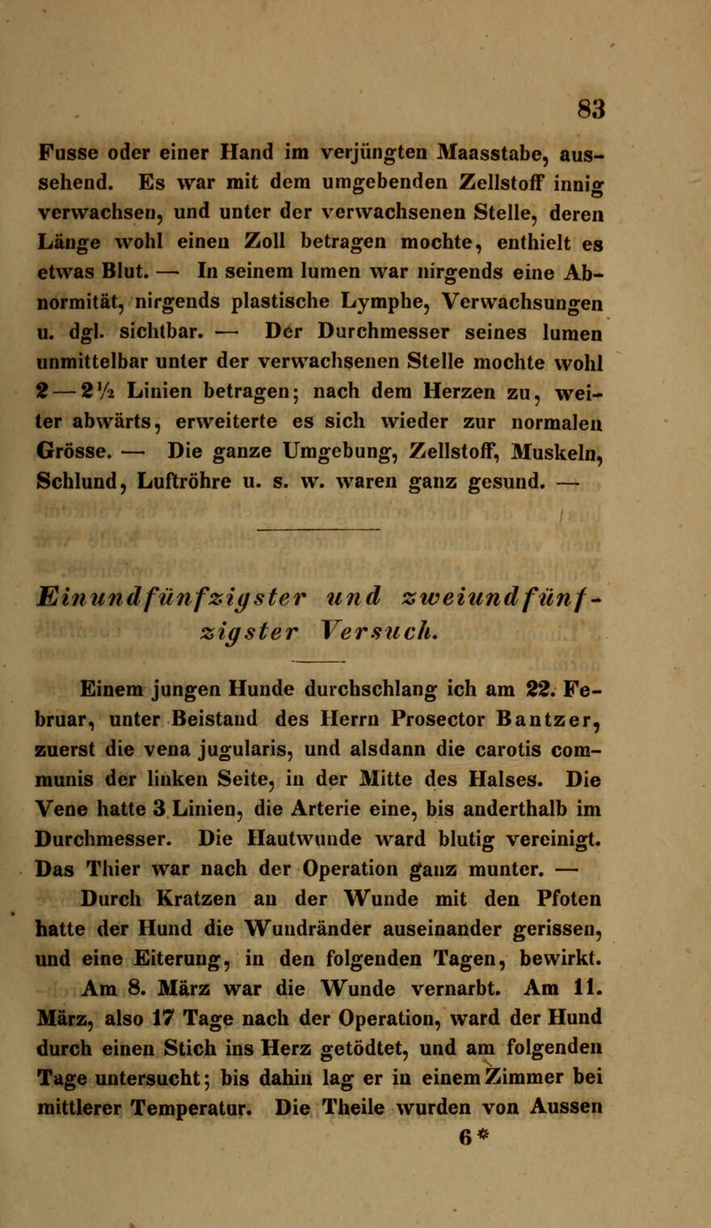 Fusse oder einer Hand im verjüngten Maasstabe, aus- sehend. Es war mit dem umgebenden Zellstoff innig verwachsen, und unter der verwachsenen Stelle, deren Länge wohl einen Zoll betragen mochte, enthielt es etwas Blut. — In seinem lumen war nirgends eine Ab- normität, nirgends plastische Lymphe, Verwachsungen u. dgl. sichtbar. — Der Durchmesser seines lumen unmittelbar unter der verwachsenen Stelle mochte wohl 2 — 2^2 Linien betragen; nach dem Herzen zu, wei- ter abwärts, erweiterte es sich wieder zur normalen Grösse. — Die ganze Umgebung, Zellstoff, Muskeln, Schlund, Luftröhre u. s. w. waren ganz gesund. — Einundfünfzigster und zweitindfünf-^ zig st er Versuch. Einem jungen Hunde durchschlang ich am 22. Fe- bruar, unter Beistand des Herrn Prosector Bantzer, zuerst die vena jugularis, und alsdann die carotis com- munis der linken Seite, in der Mitte des Halses. Die Vene hatte 3 Linien, die Arterie eine, bis anderthalb im Durchmesser. Die Hautwunde ward blutig vereinigt. Das Thier war nach der Operation ganz munter. — Durch Kratzen au der Wunde mit den Pfoten hatte der Hund die Wundränder auseinander gerissen, und eine Eiterung, in den folgenden Tagen, bewirkt. Am 8. März war die Wunde vernarbt. Am IL März, also 17 Tage nach der Operation, ward der Hund durch einen Stich ins Herz getödtet, und am folgenden Tage untersucht; bis dahin lag er in einem Zimmer bei mittlerer Temperatur. Die Theile wurden von Aussen 6*