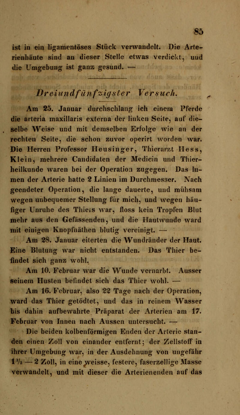 ist in ein ligamentöses Stück verwandelt. Die Arte- rienhäute sind an dieser Stelle etwas verdickt, und die Umgebung ist ganz gesund. — Dreiundfünfzigster Versuch, Am 2.5. Januar durchschlang ich einem Pferde die arteria maxillaris externa der linken Seite, auf die- selbe Weise und mit demselben Erfolge wie an der rechten Seite, die schon zuvor operirt worden war. Die Herren Professor Heusinger, Thierarzt Hess, Klein, mehrere Candidaten der Medicin und Thier- heilkunde waren bei der Operation zugegen. Das lu- men der Arterie hatte 2 Linien im Durchmesser. Nach geendeter Operation, die lange dauerte, und mühsam wegen unbequemer Stellung für mich, und wegen häu- figer Unruhe des Thieis war, floss kein Tropfen Blut mehr aus den Gefässenden, und die Hautwunde ward mit einigen Knopfnäthen blutig vereinigt. — Am 28. Januar eiterten die Wundränder der Haut. Eine Blutung war nicht entstanden. Das Thier be- findet sich ganz wohl. Am 10. Februar war die Wunde vernarbt. Ausser seinem Husten befindet sich das Thier wohl. — Am 16. Februar, also 22 Tage nach der Operation, ward das Thier getödtet, und das in reinem Wasser bis dahin aufbewahrte Präparat der Arterien am 17. Februar von Innen nach Aussen untersucht. — Die beiden kolbenförmigen Enden der Arterie stan- den einen Zoll von einander entfernt; der Zellstoff in ihrer Umgebung war, in der Ausdehnung von ungefähr IV2 —2 Zoll, in eine weisse, festere, faserzellige Masse verwandelt, und mit dieser die Arterienenden auf das