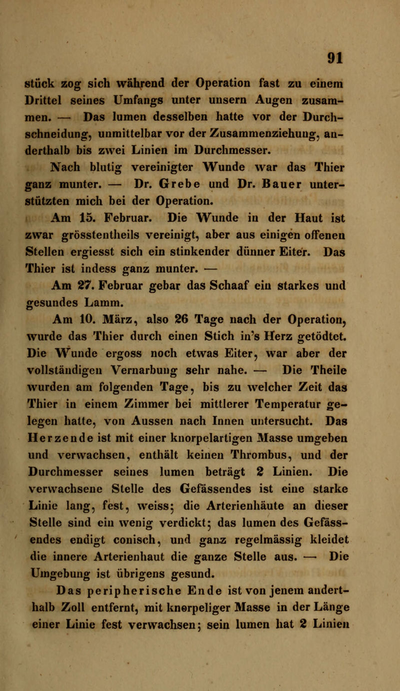 Stück zog sich während der Operation fast zu einem Drittel seines Umfangs unter uusern Augen zusam- men. — Das lumen desselben hatte vor der Durch- schneidung, unmittelbar vor der Zusammenziehuug, an- derthalb bis zwei Linien im Durchmesser. Nach blutig vereinigter Wunde war das Thier ganz munter. — Dr. Grebe und Dr. Bauer unter- stützten mich bei der Operation. Am 15. Februar. Die Wunde in der Haut ist zwar grösstentheils vereinigt, aber aus einigen offenen Stellen ergiesst sich ein stinkender dünner Eiter. Das Thier ist indess ganz munter. — Am 27. Februar gebar das Schaaf ein starkes und gesundes Lamm. Am 10. März, also 26 Tage nach der Operation, wurde das Thier durch einen Stich in's Herz «jetödtet. Die Wunde ergoss noch etwas Eiter, war aber der vollständigen Vernarbung sehr nahe. — Die Theile wurden am folgenden Tage, bis zu welcher Zeit das Thier in einem Zimmer bei mittlerer Temperatur ge- legen hatte, von Aussen nach Innen untersucht. Das Herzende ist mit einer knorpelartigen Masse umgeben und verwachsen, enthält keinen Thrombus, und der Durchmesser seines lumen beträgt 2 Linien. Die verwachsene Stelle des Gefässendes ist eine starke Linie lang, fest, weiss5 die Arterienhäute an dieser Stelle sind ein wenig verdickt 5 das lumen des Gefäss- endes endigt conisch, und ganz regelmässig kleidet die innere Arterienhaut die ganze Stelle aus. —• Die Umgebung ist übrigens gesund. Das peripherische Ende ist von jenem andert- halb Zoll entfernt, mit knorpeliger Masse in der Länge einer Linie fest verwachsen; sein lumen hat 2 Linien